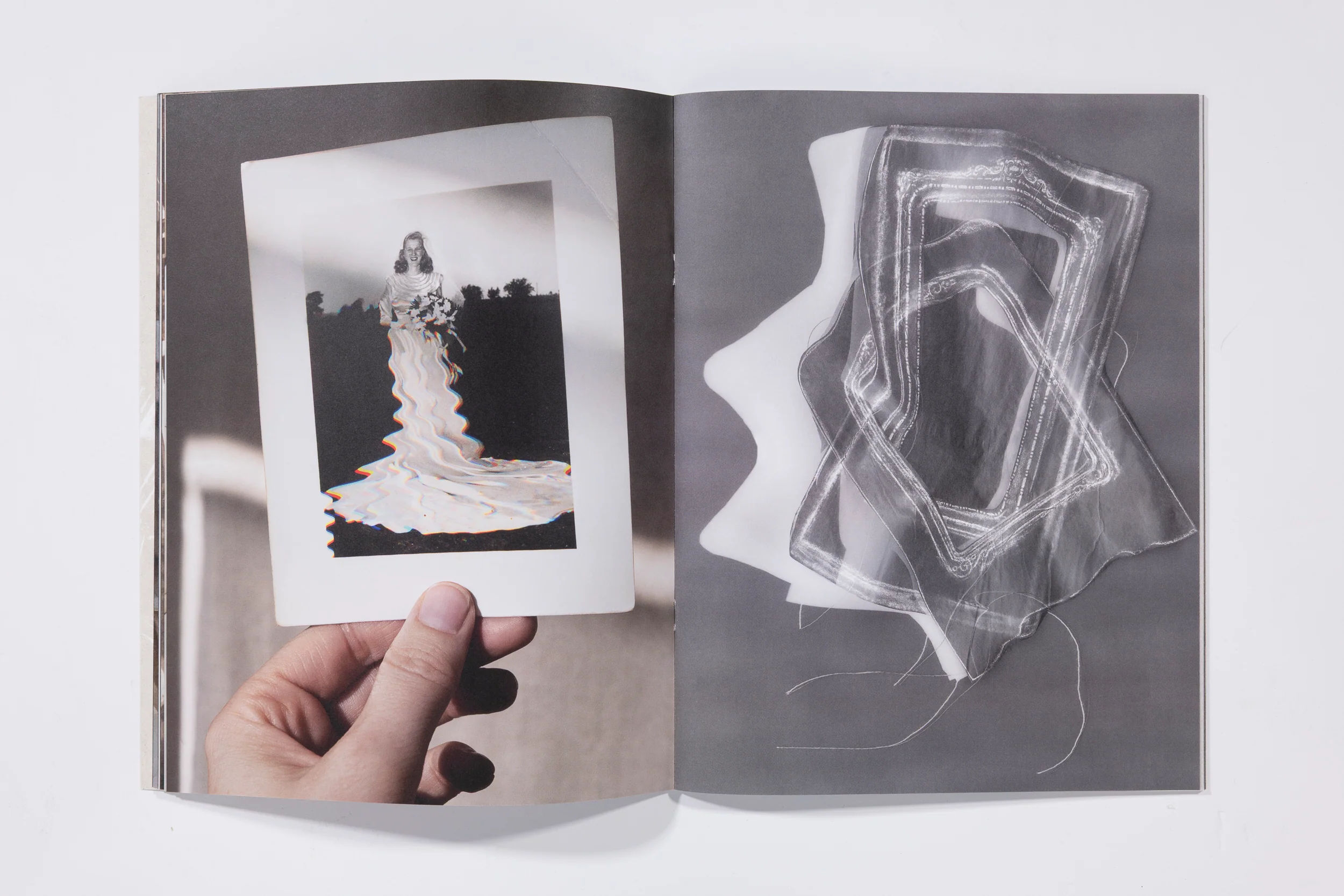 Altered Archive - Rachel Phillips - Image 7