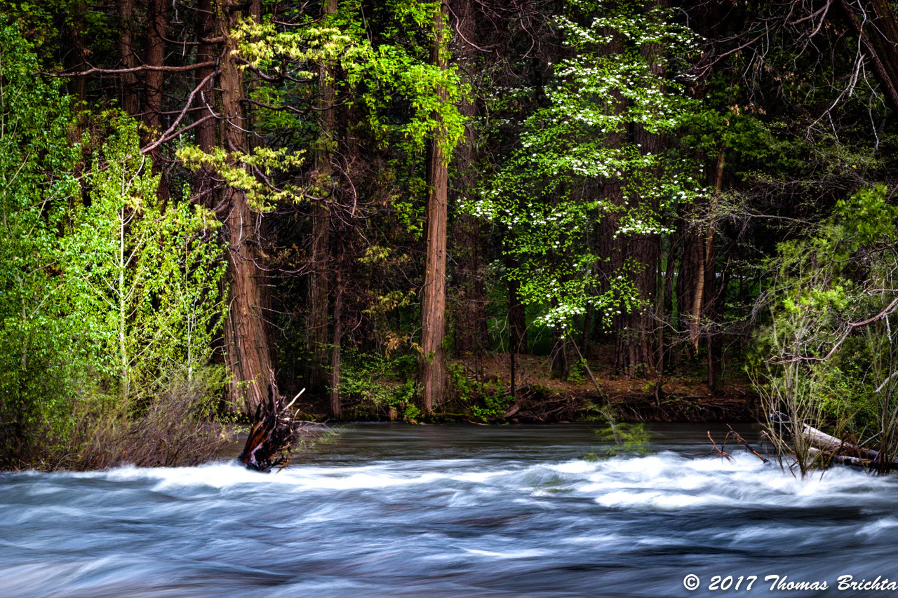 2026 Spring Yosemite Workshop May 3-7, 2026- Couple - Image 4
