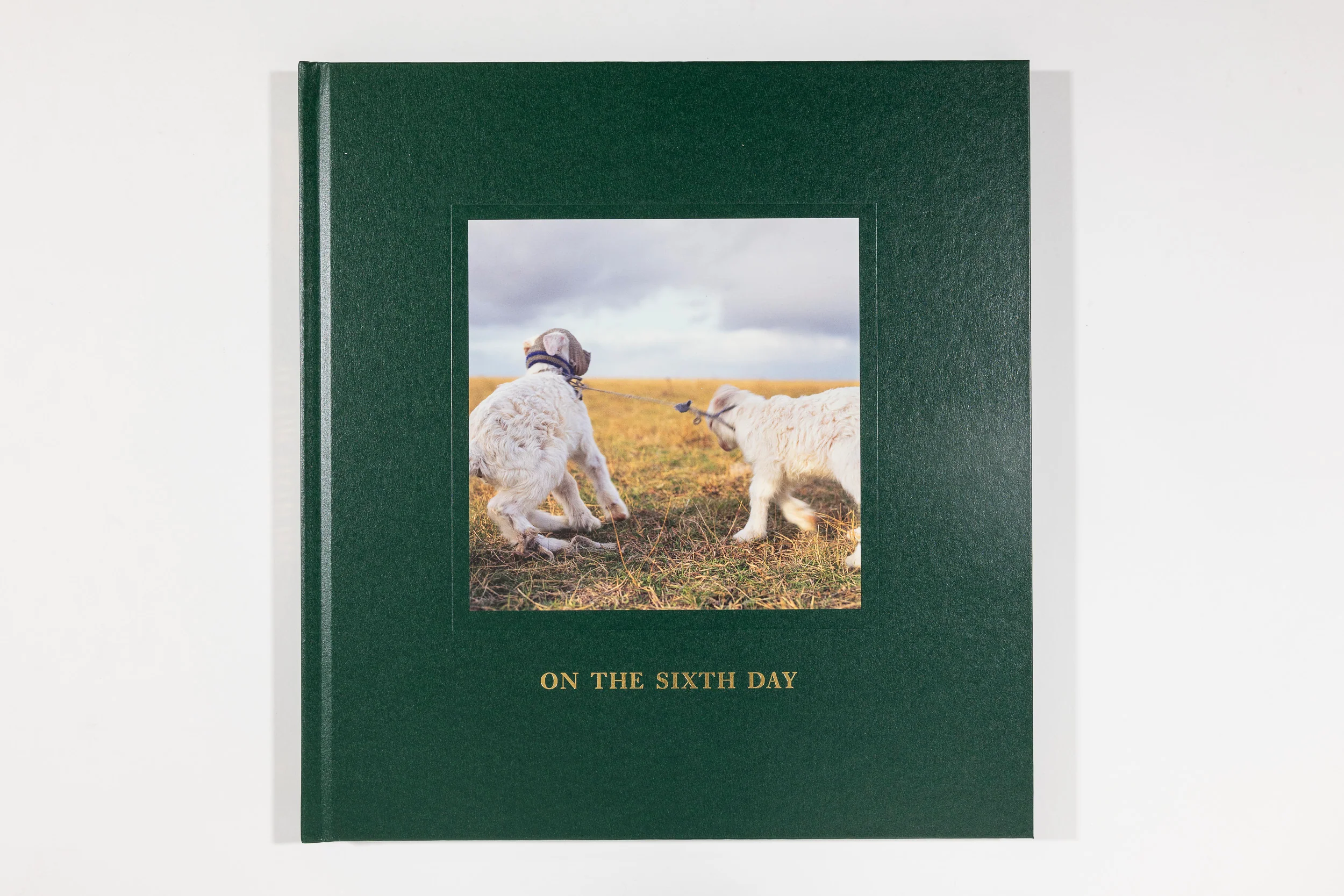 Alessandra Sanguinetti, On the Sixth Day