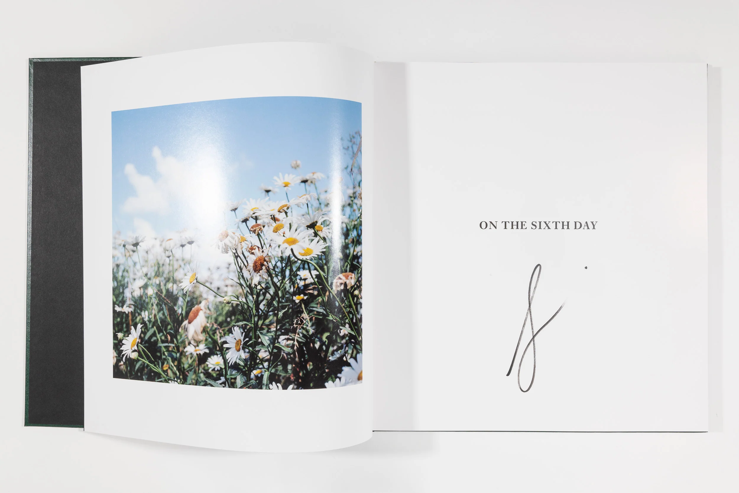 Alessandra Sanguinetti, On the Sixth Day - Image 2