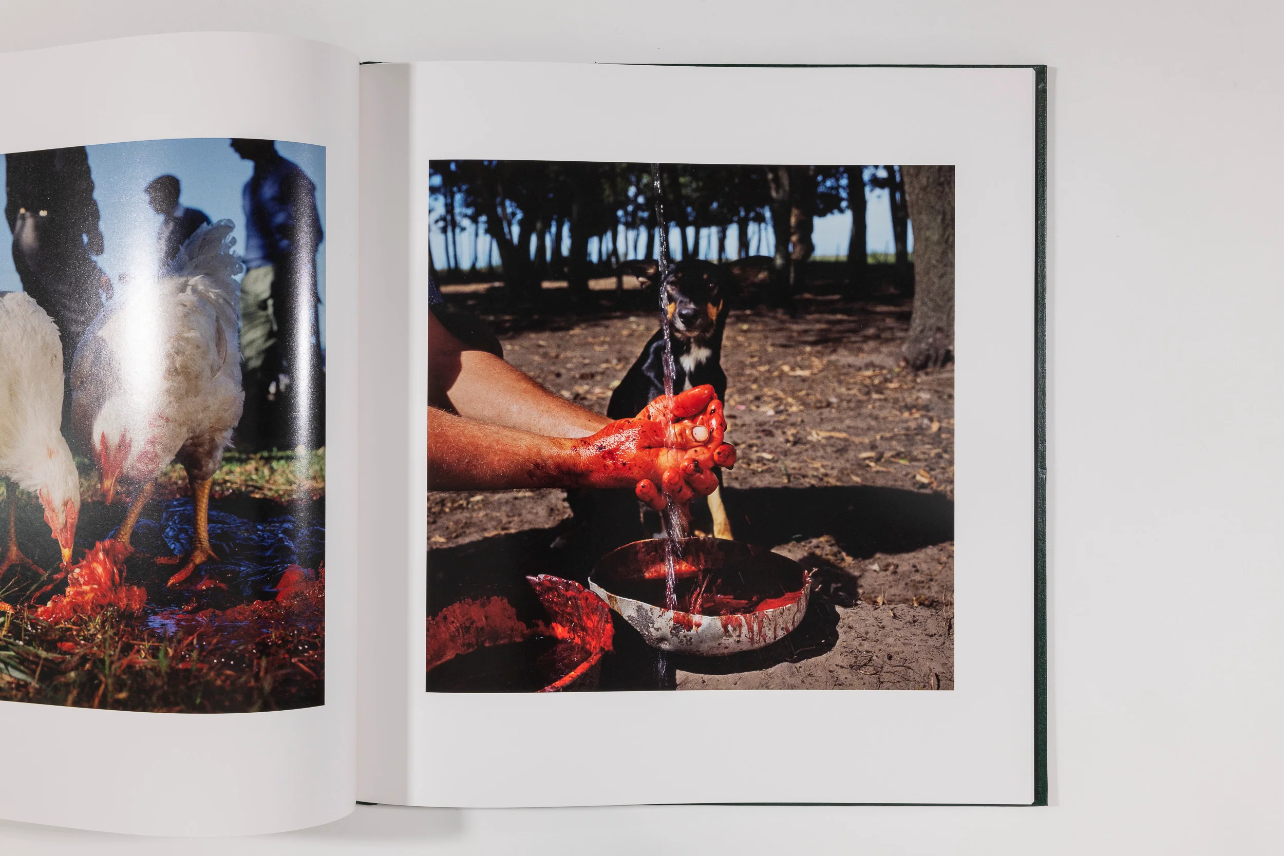 Alessandra Sanguinetti, On the Sixth Day - Image 8