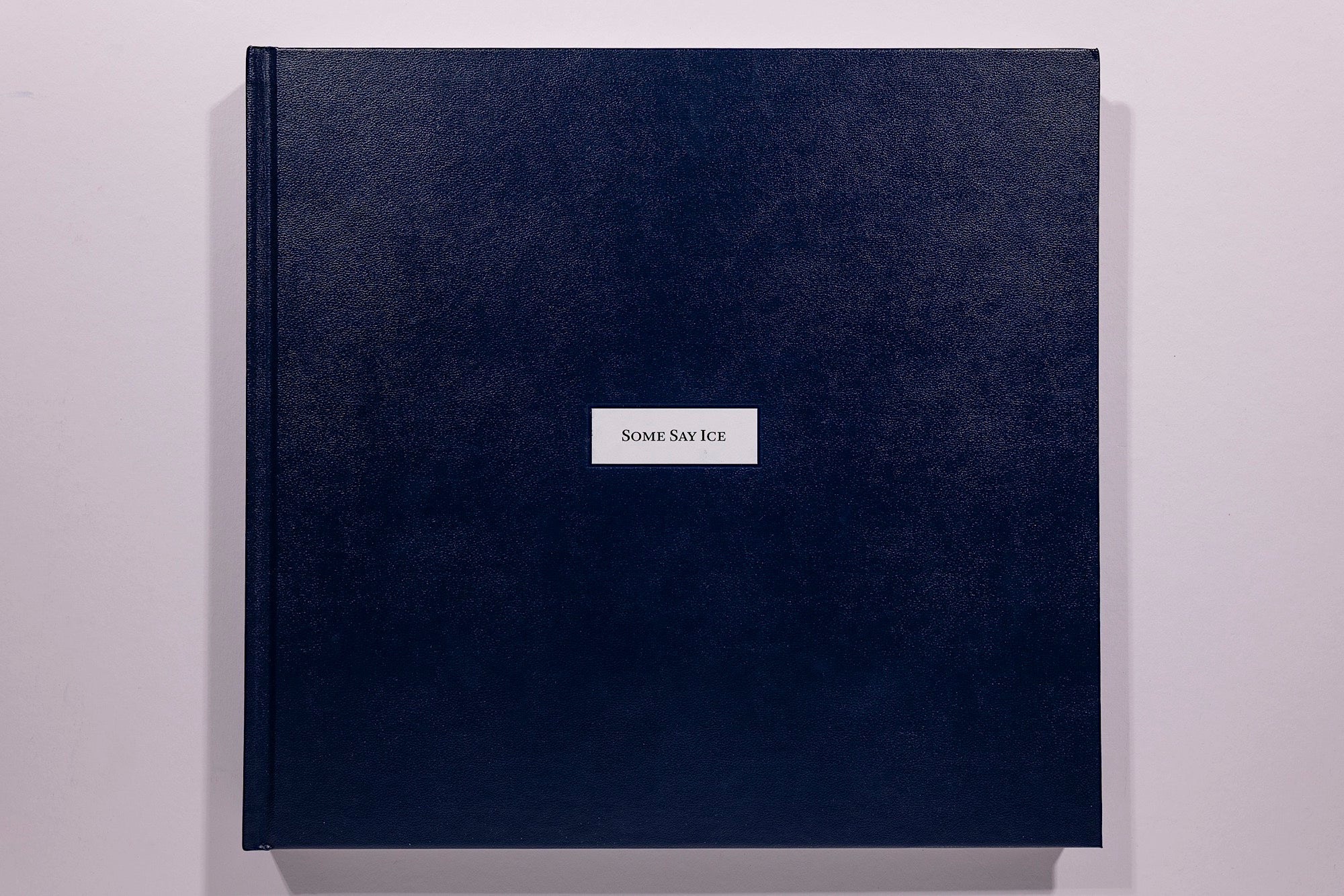 Alessandra Sanguinetti, Some Say Ice, Unsigned