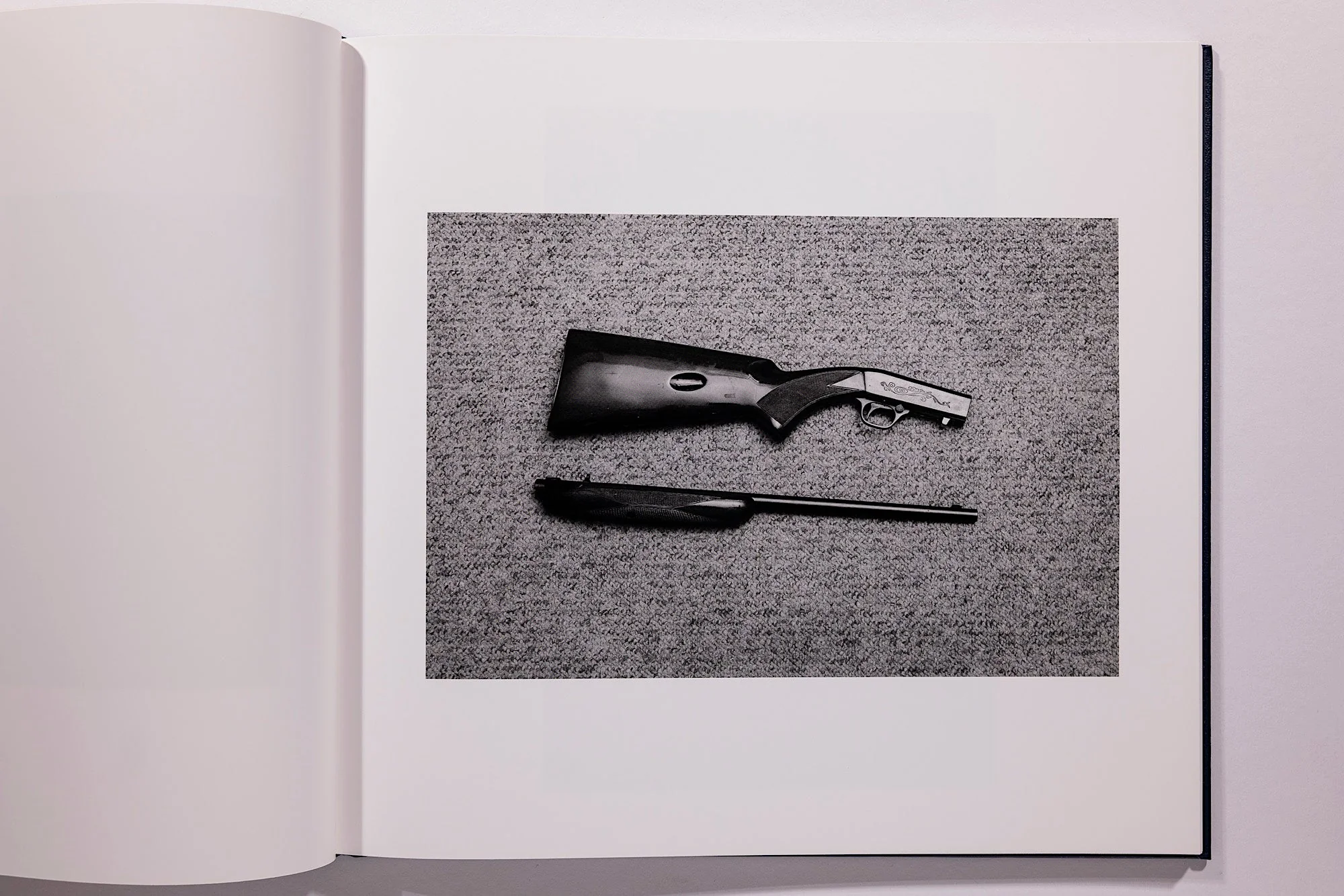 Alessandra Sanguinetti, Some Say Ice, Unsigned - Image 11