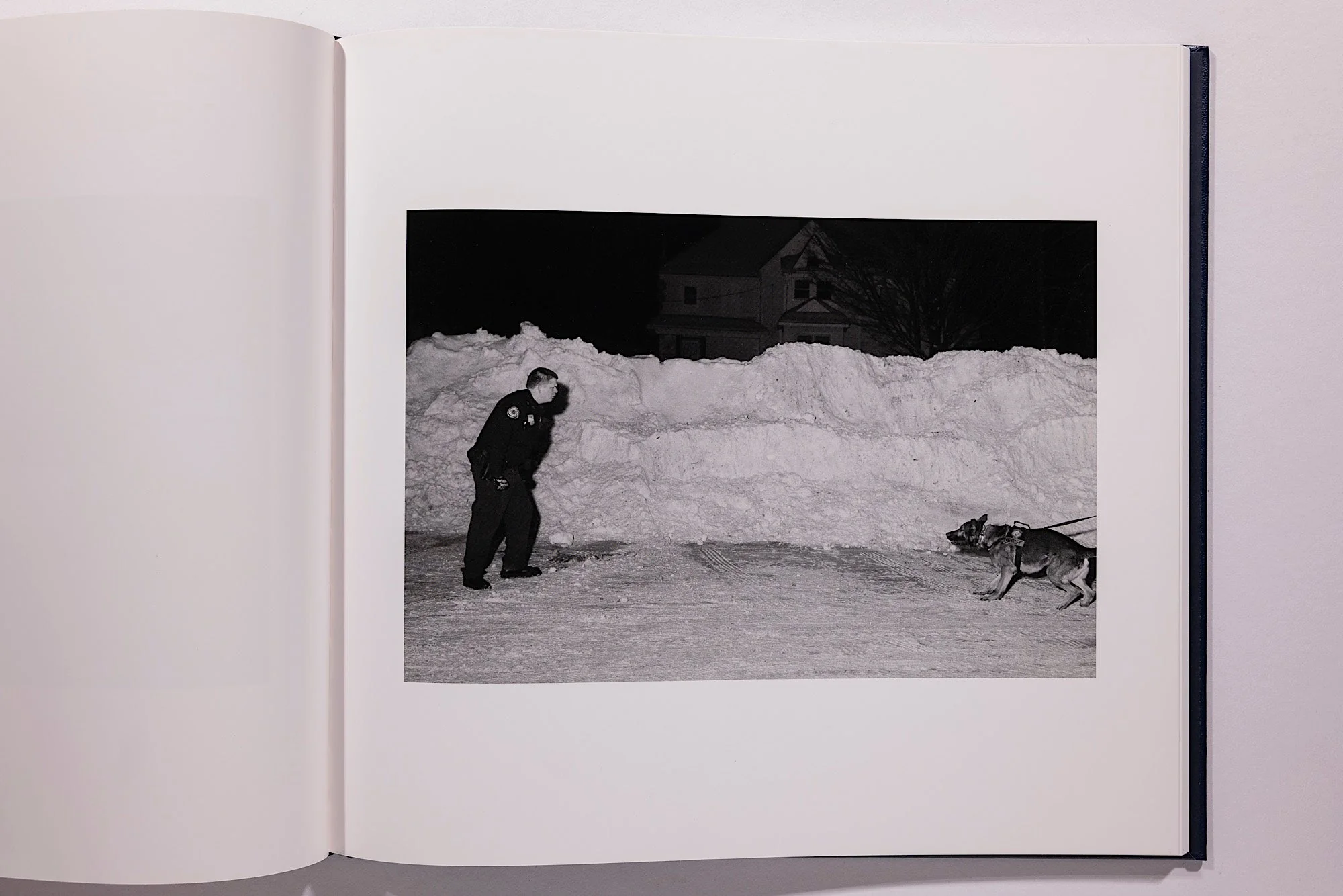 Alessandra Sanguinetti, Some Say Ice, Unsigned - Image 14