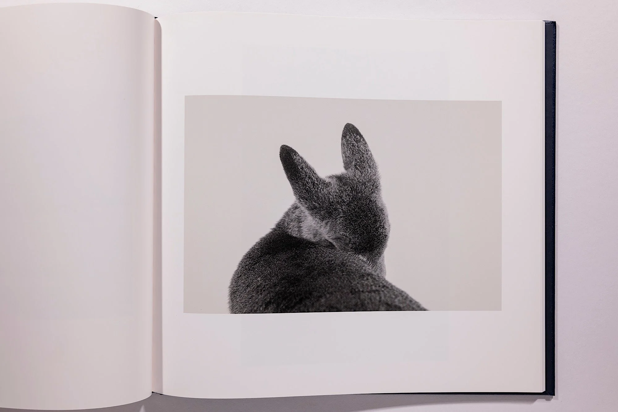 Alessandra Sanguinetti, Some Say Ice, Unsigned - Image 16