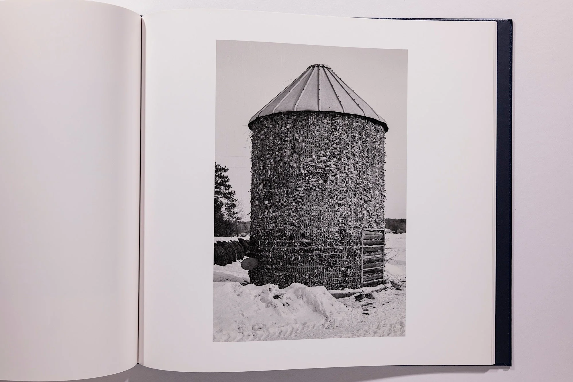 Alessandra Sanguinetti, Some Say Ice, Unsigned - Image 18