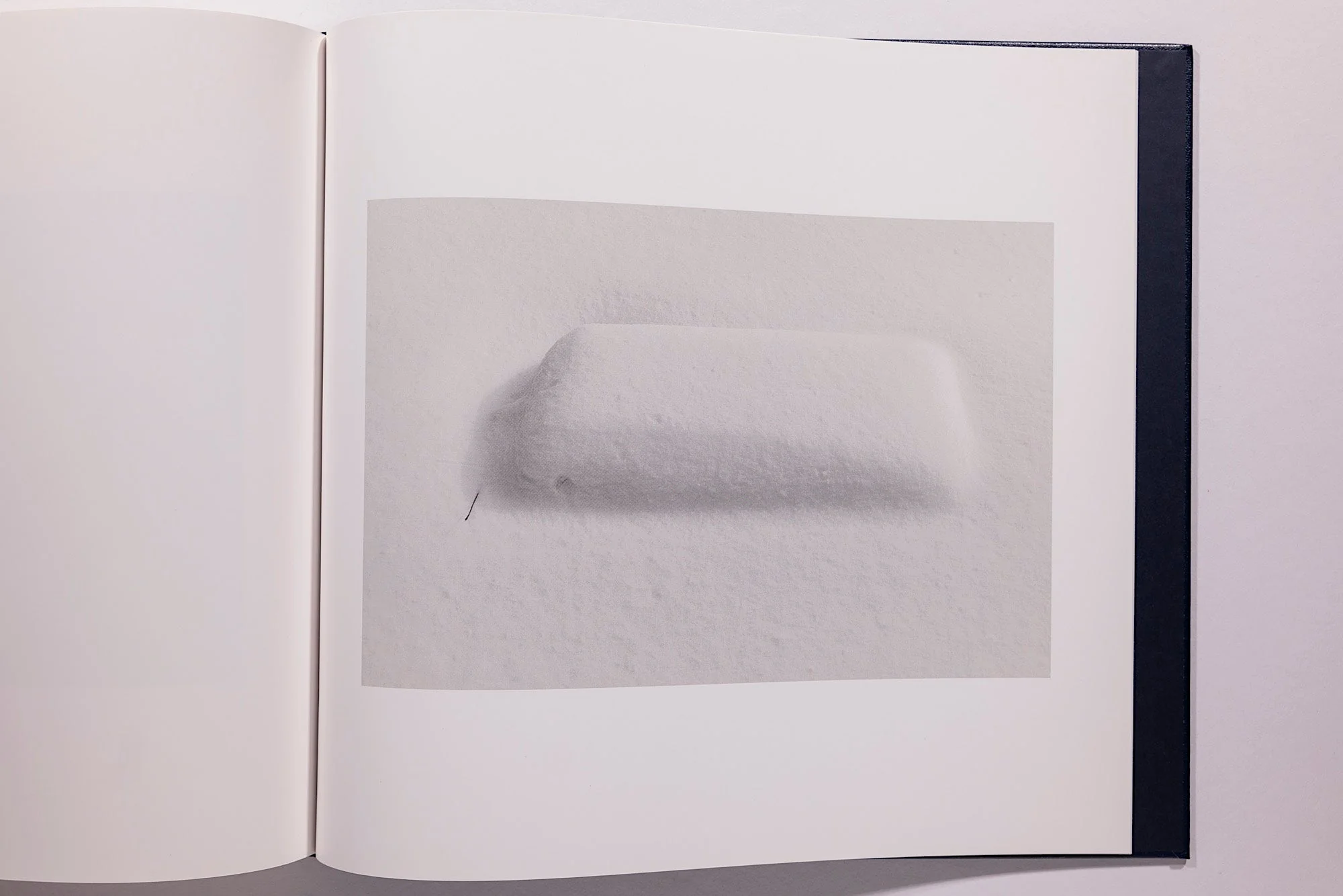 Alessandra Sanguinetti, Some Say Ice, Unsigned - Image 19