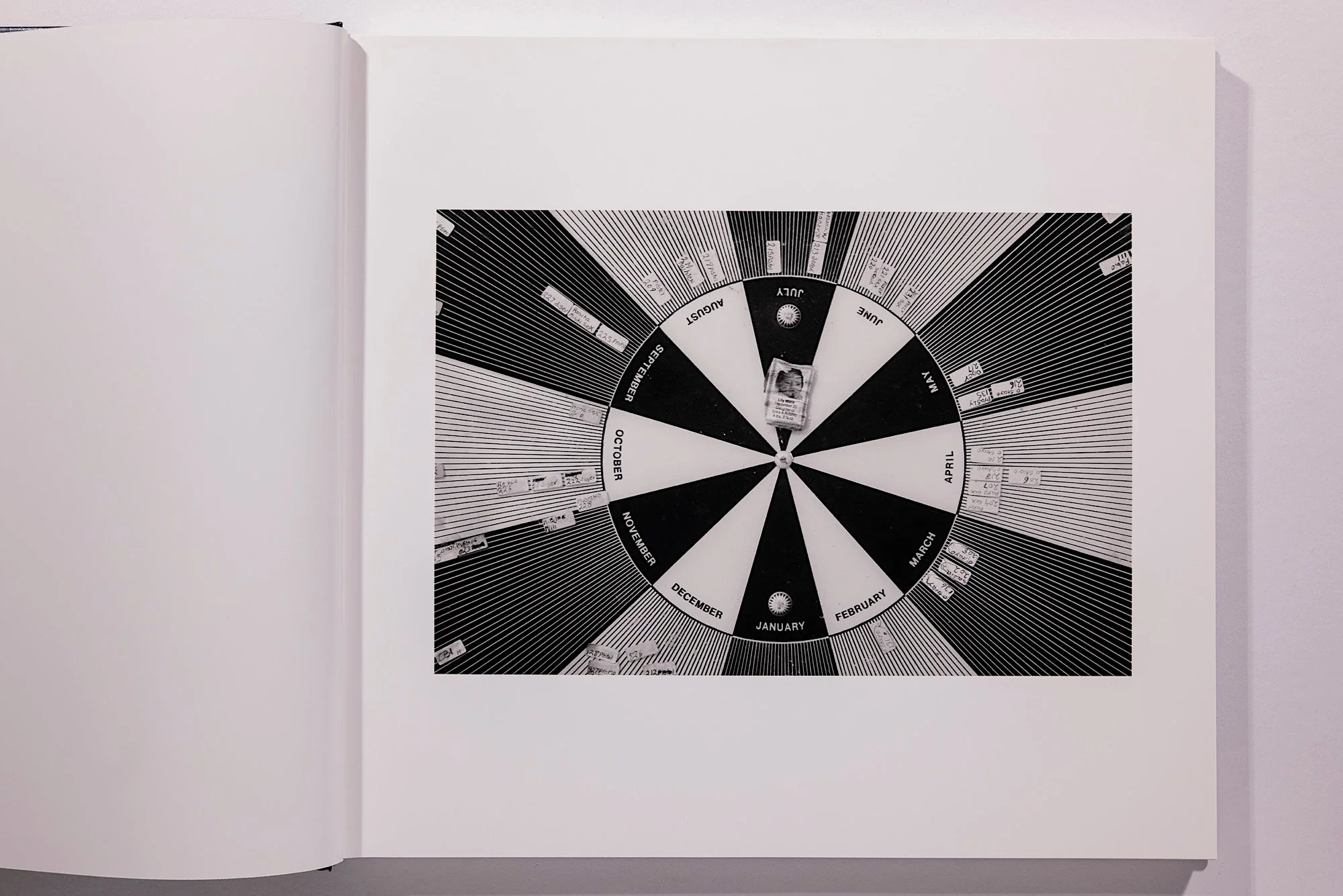 Alessandra Sanguinetti, Some Say Ice, Unsigned - Image 2