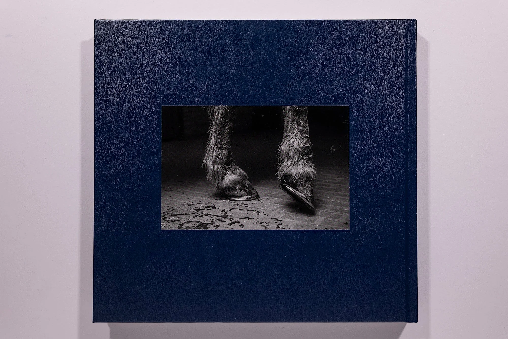 Alessandra Sanguinetti, Some Say Ice, Unsigned - Image 20