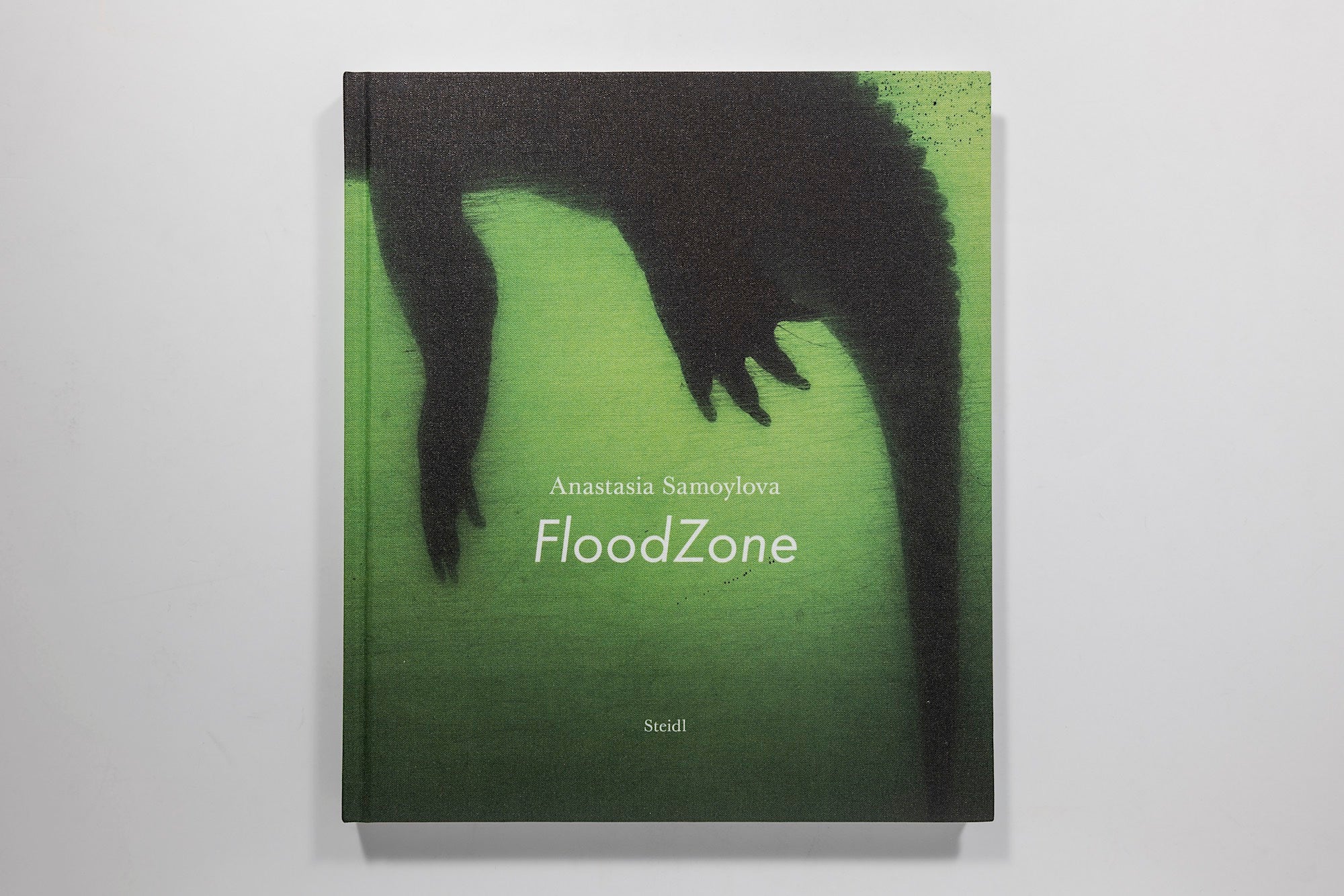 Anastasia Samoylova: Floodzone