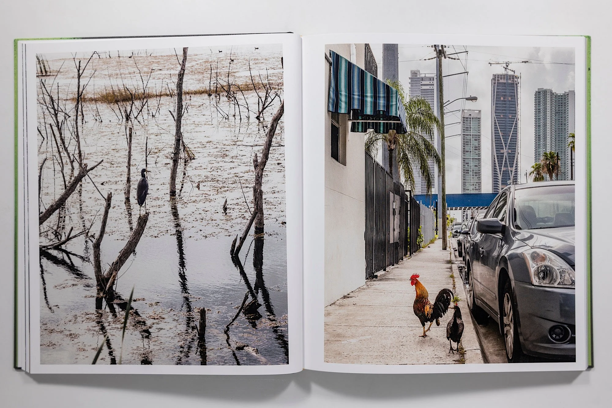 Anastasia Samoylova: Floodzone - Image 7
