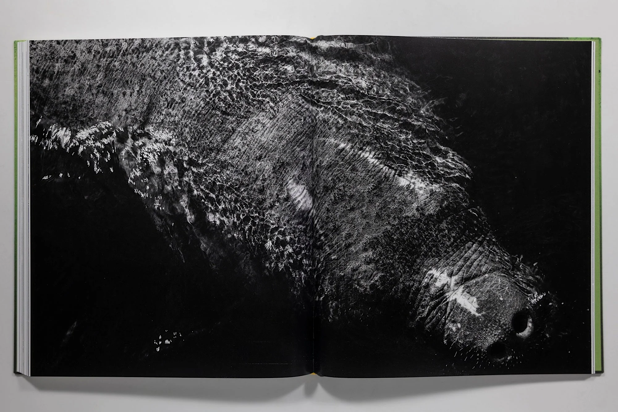 Anastasia Samoylova: Floodzone - Image 9