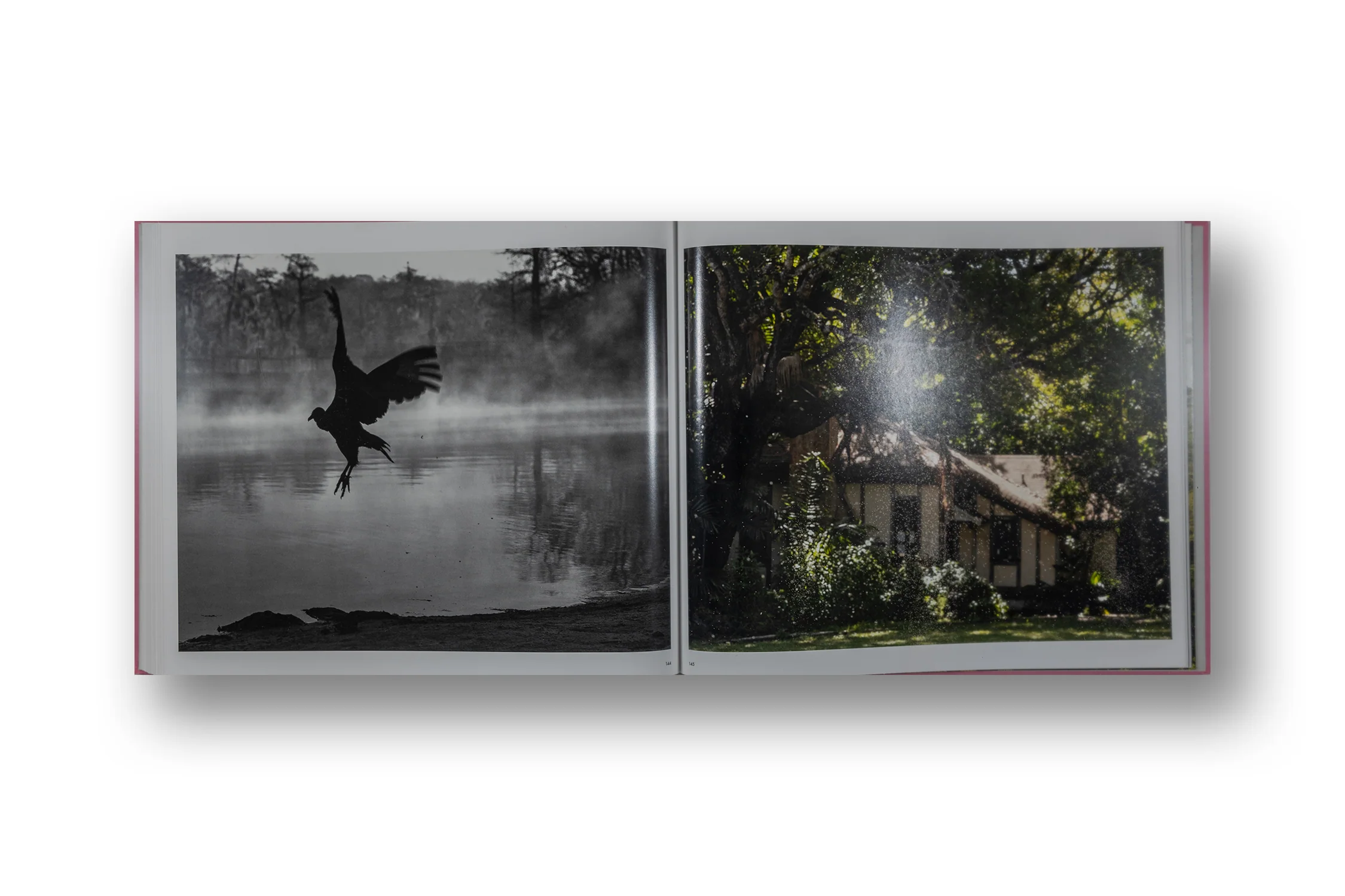 Anastasia Samoylova & Walker Evans: Floridas - Image 11