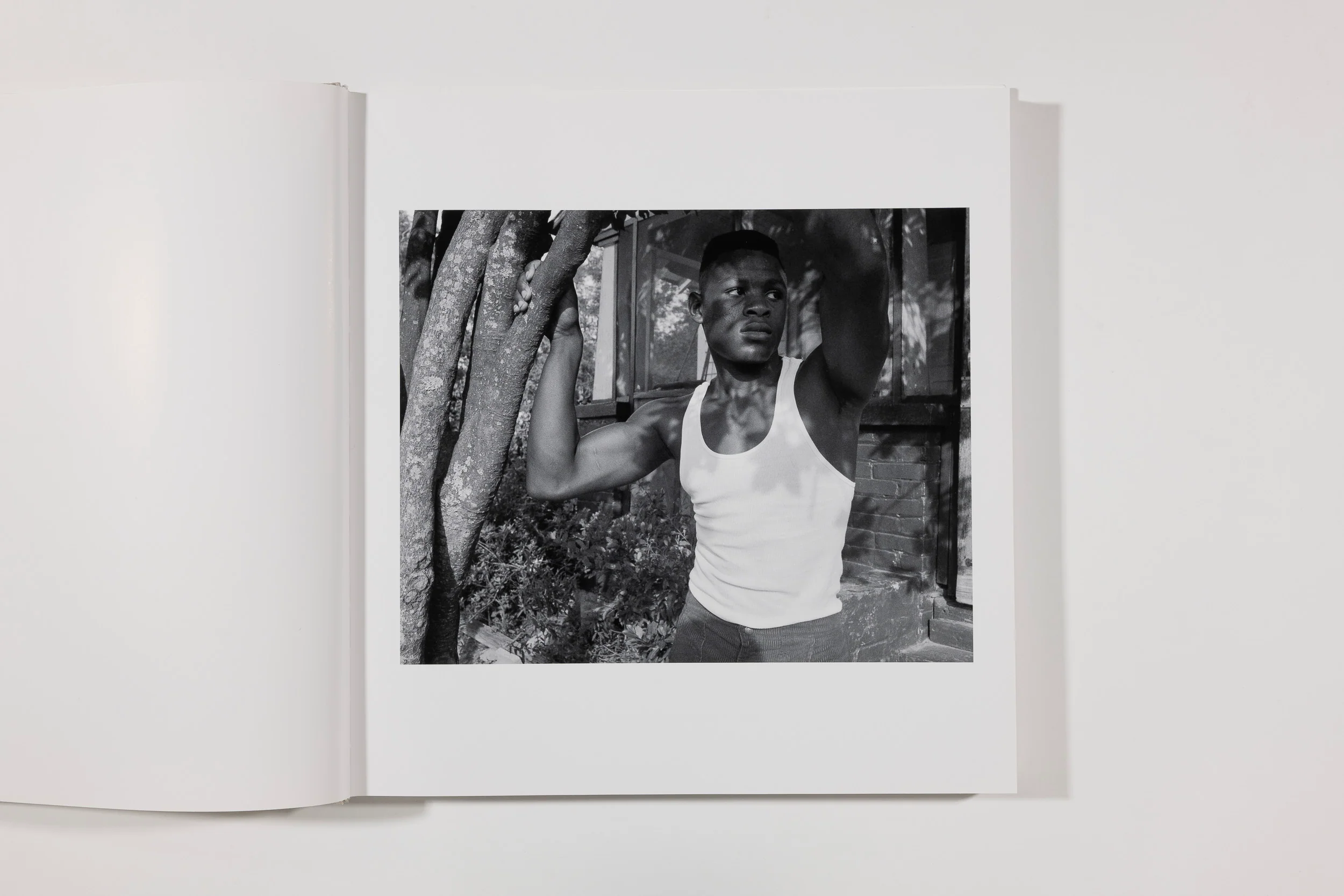 Baldwin Lee, Third Edition - Image 2