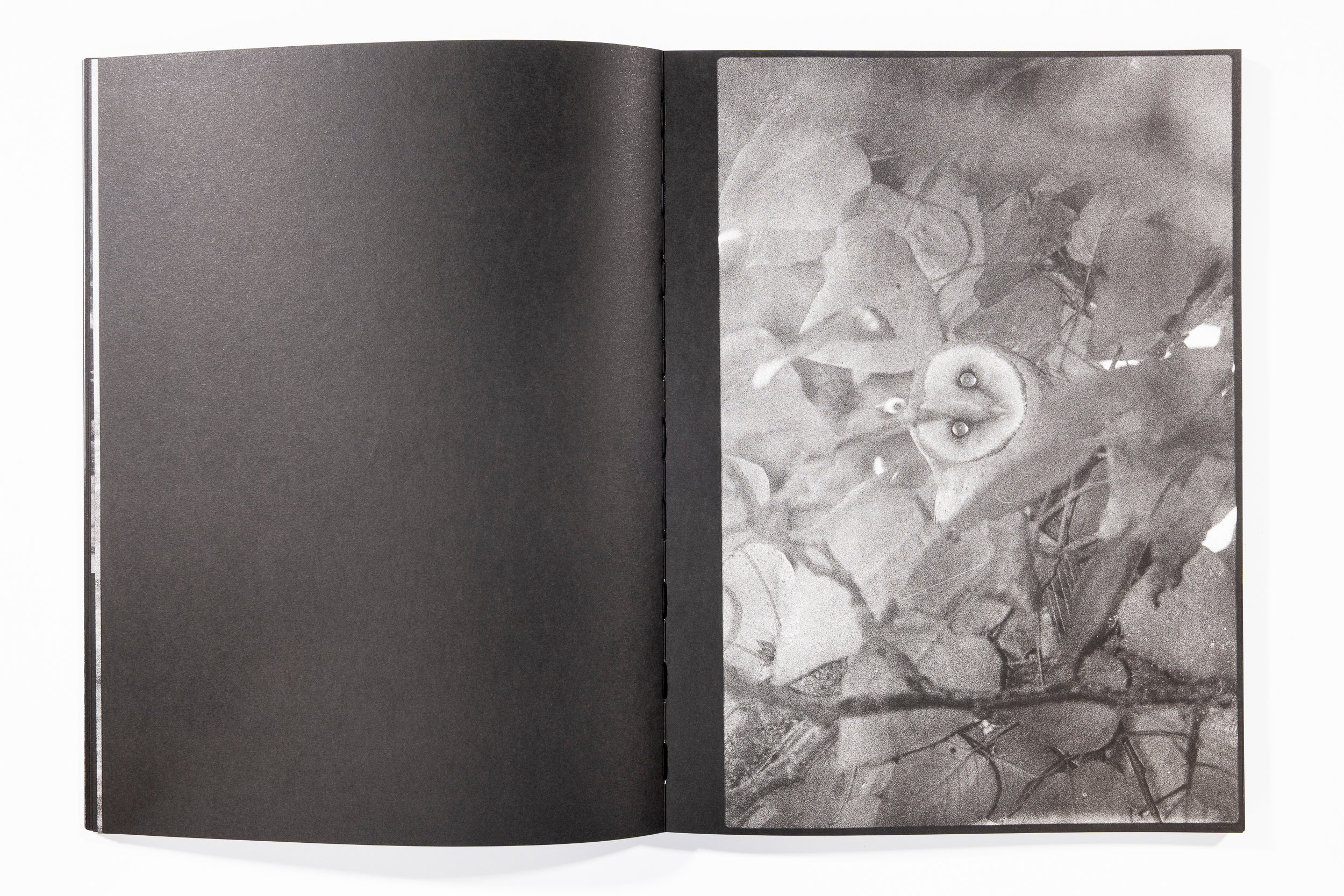 Blank Notes - Marshall To - Image 13