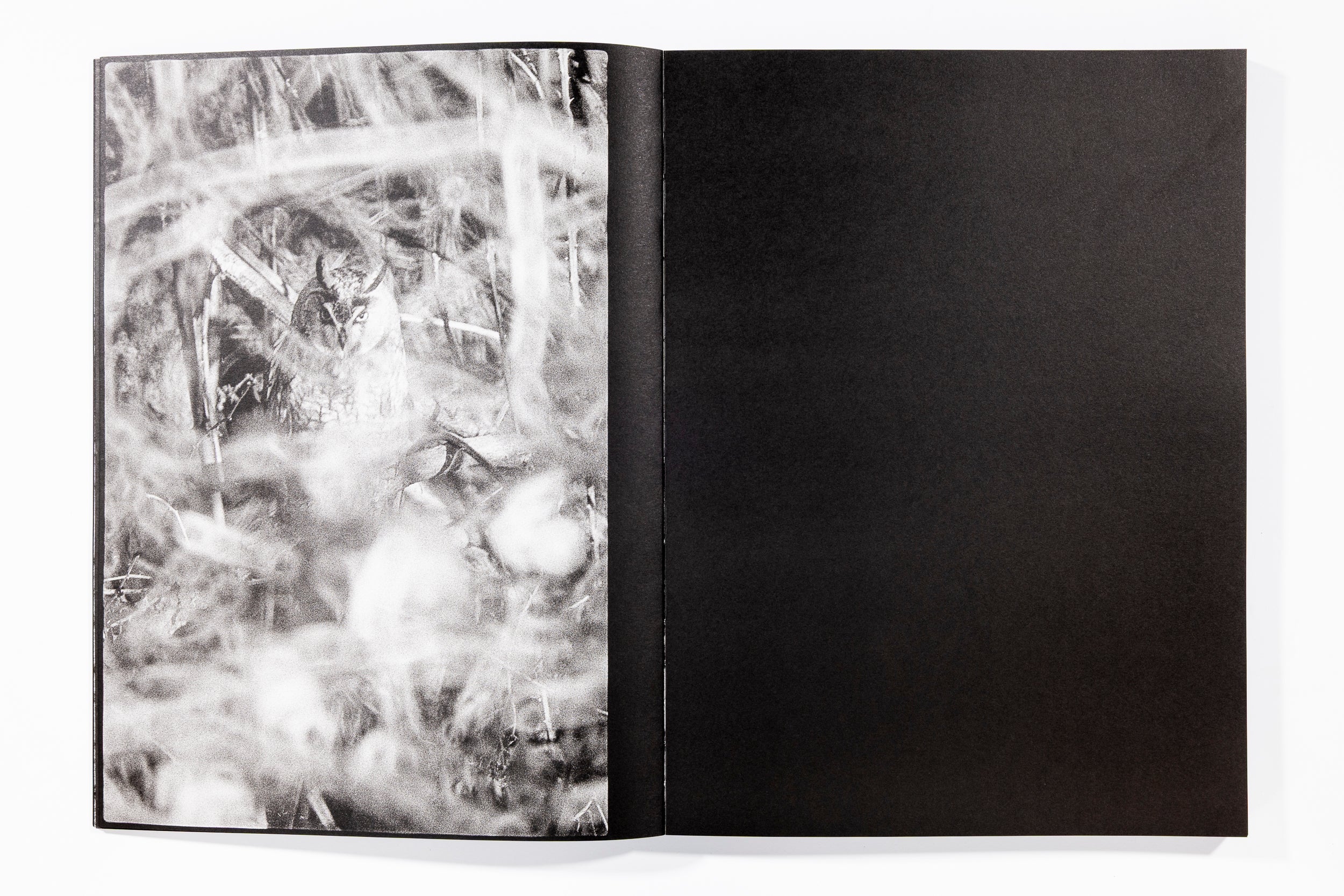 Blank Notes - Marshall To - Image 6