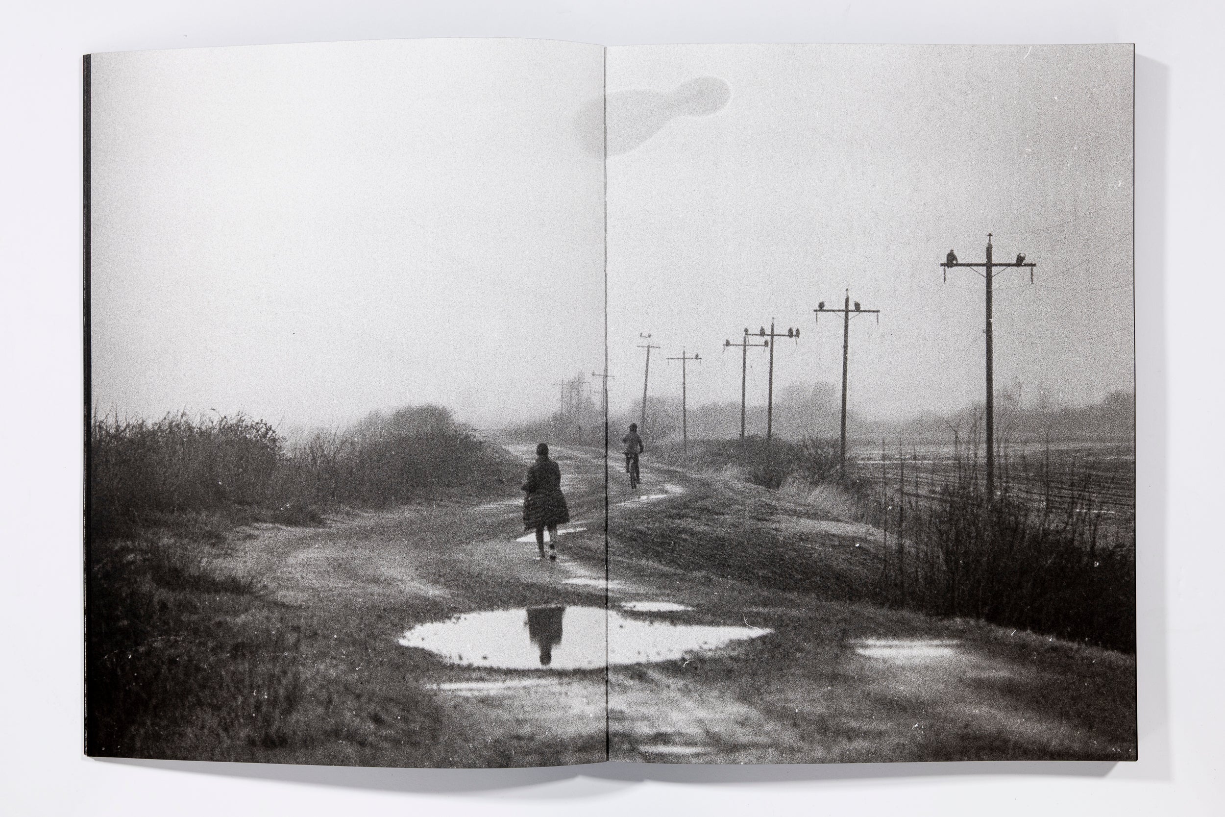 Blank Notes - Marshall To - Image 7