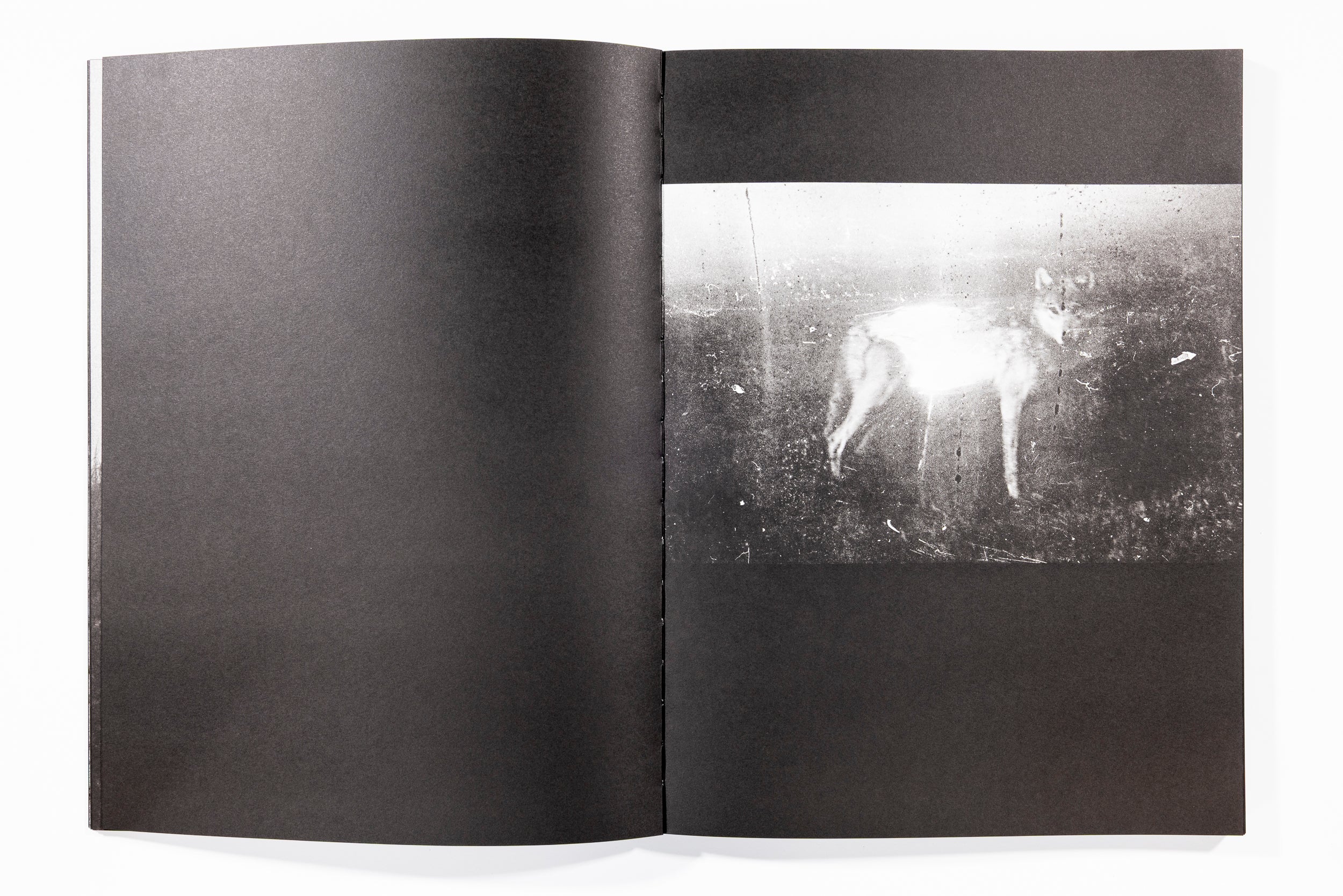 Blank Notes - Marshall To - Image 8