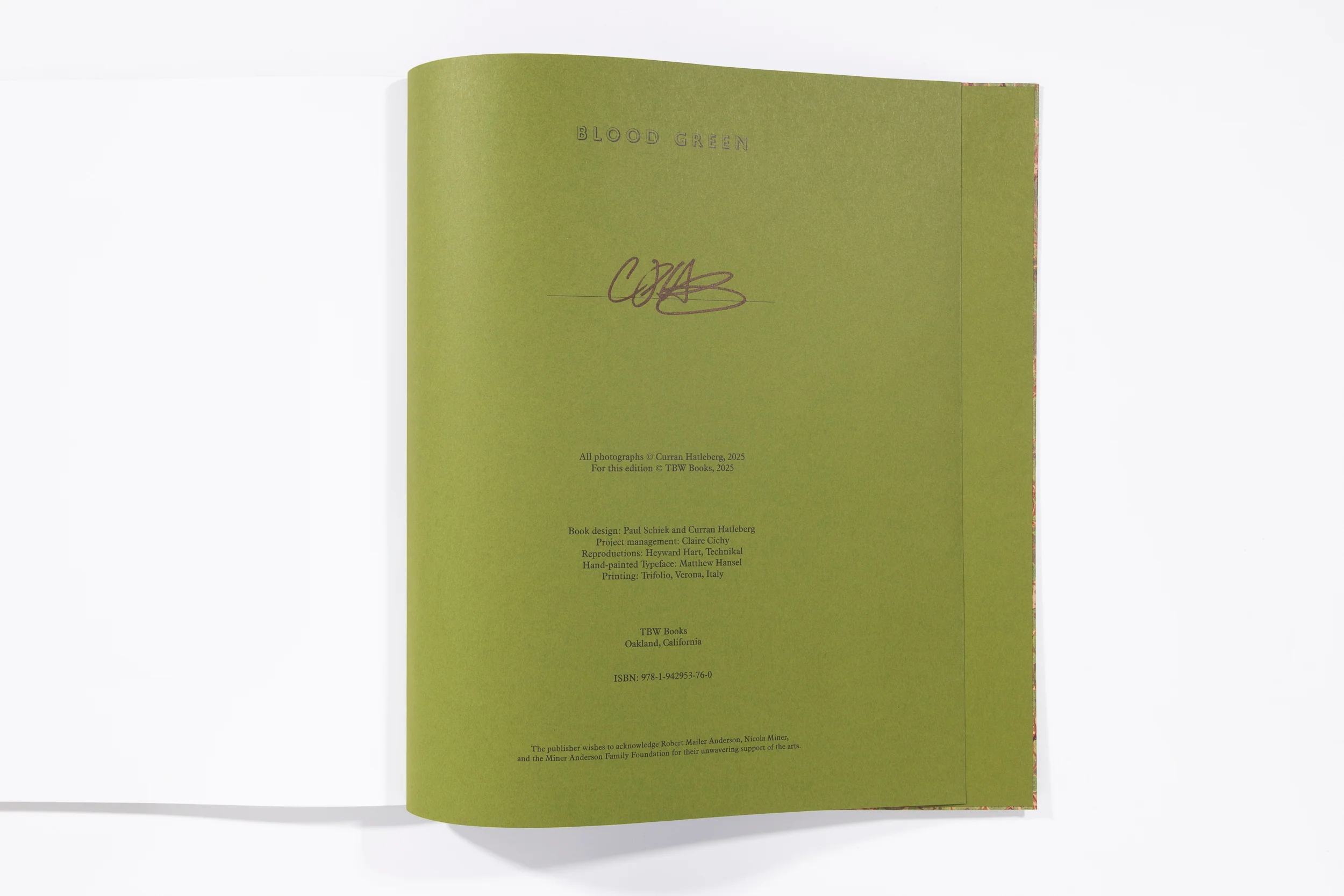 Blood Green - Curran Hatleberg - Image 11