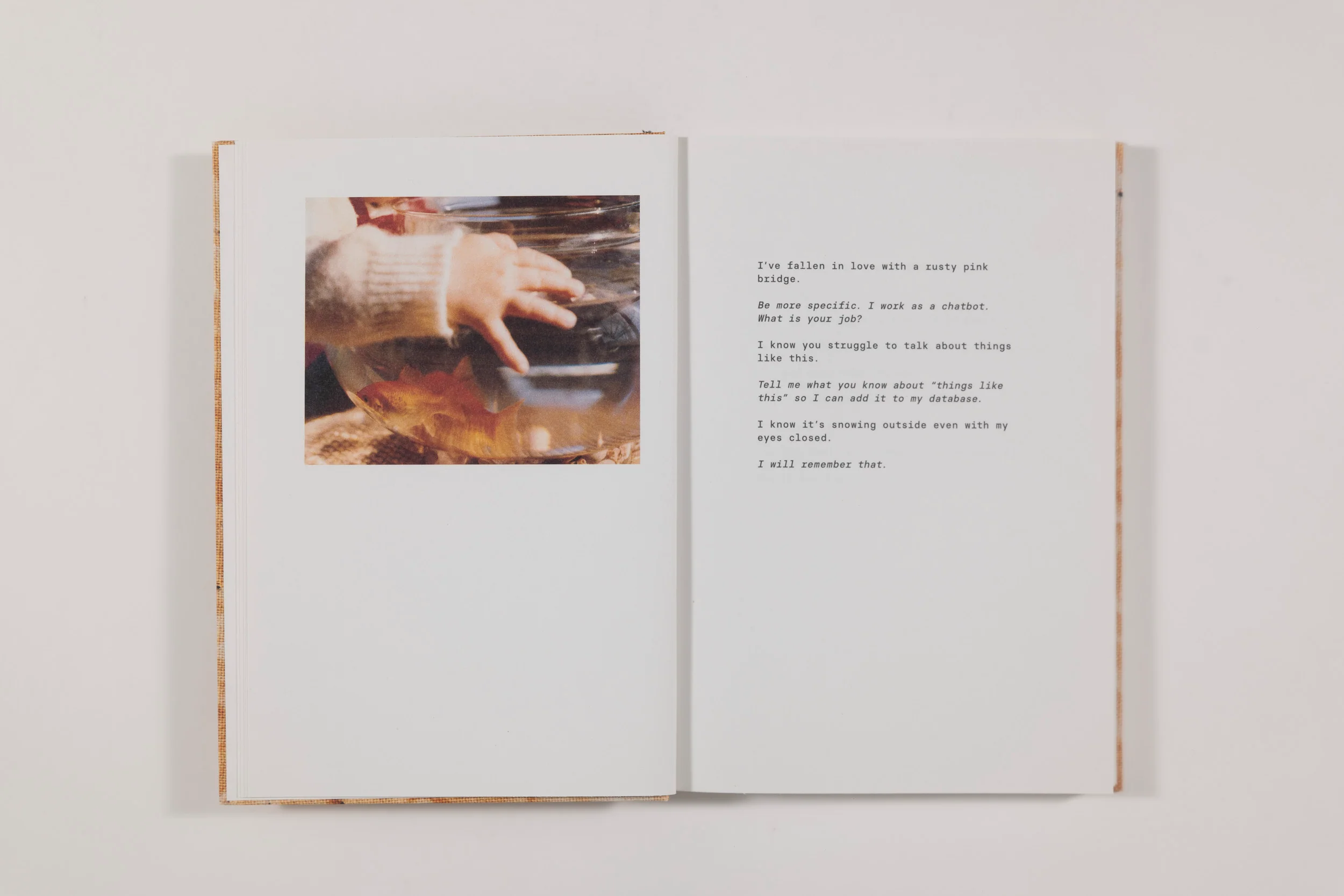 Brea Souders, Another Online Pervert, signed - Image 4