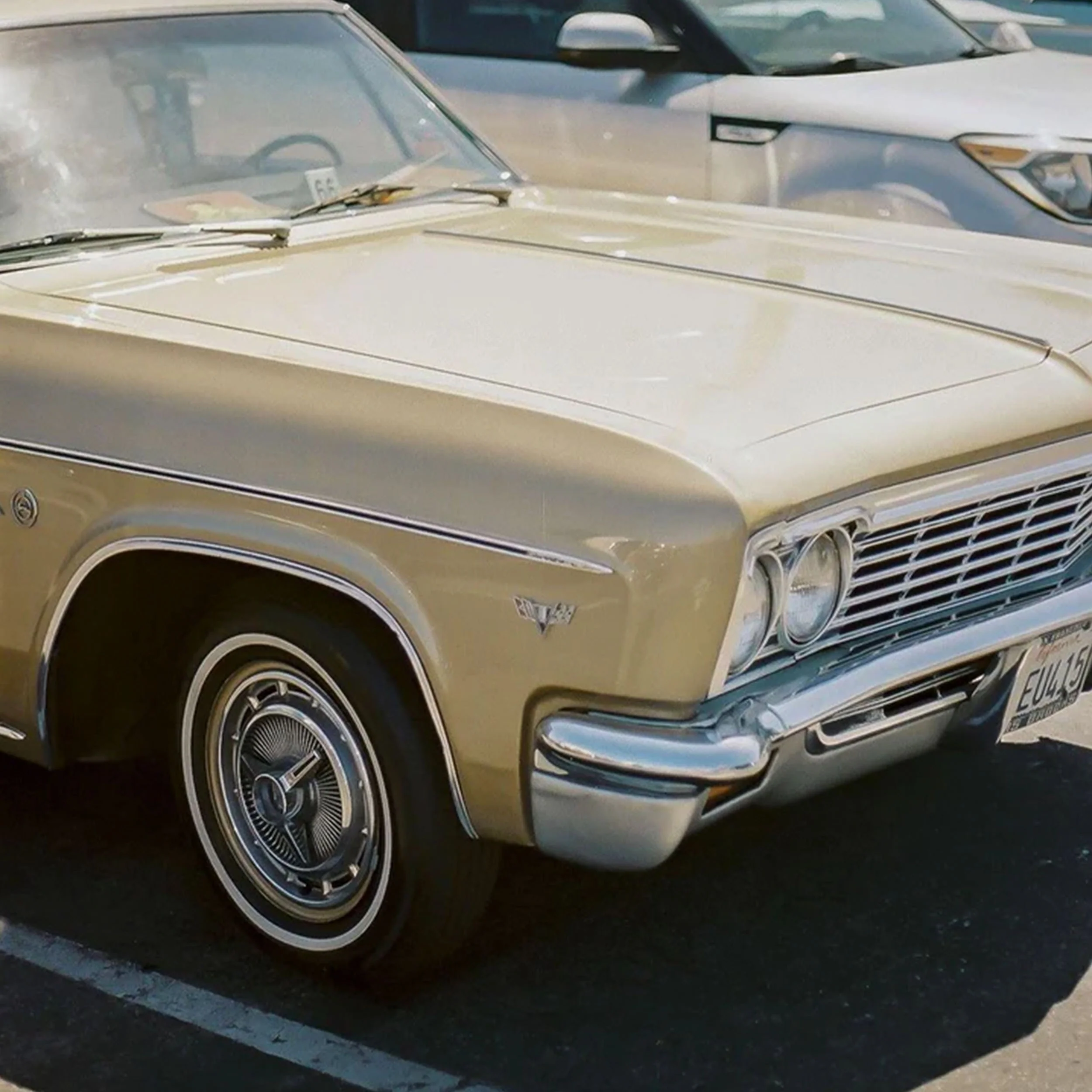 Candido 400 Color Negative Film - 35mm - Image 3