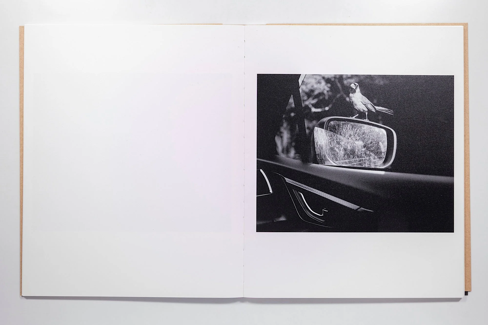 David Billet & Ian Kline - Rabbit / Hare - Image 2