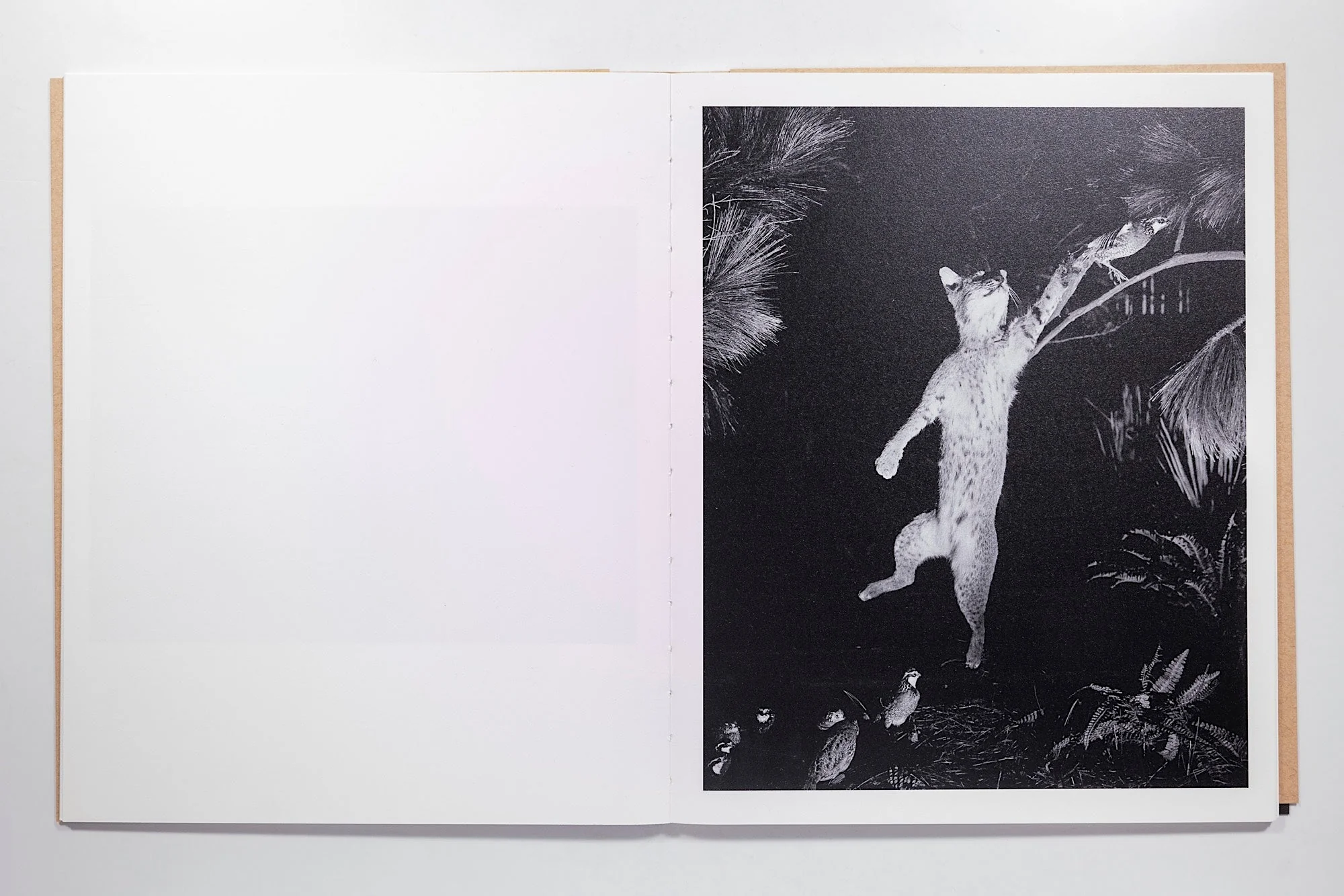 David Billet & Ian Kline - Rabbit / Hare - Image 4