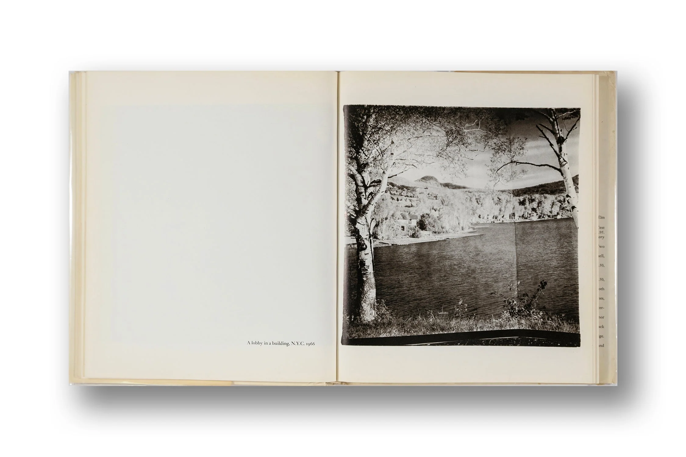 Diane Arbus 1972, First Edition (8+) - Image 8