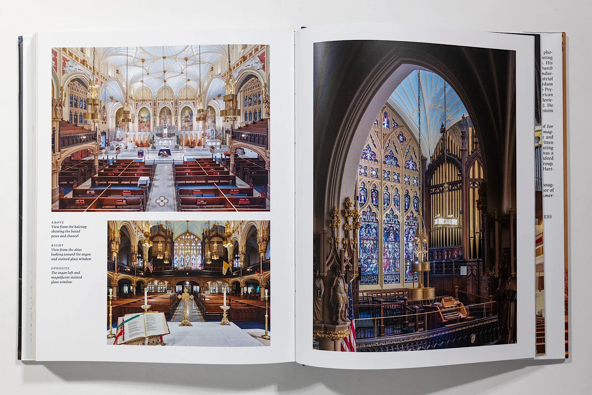 Divine New York - Michael Horowitz - Image 13