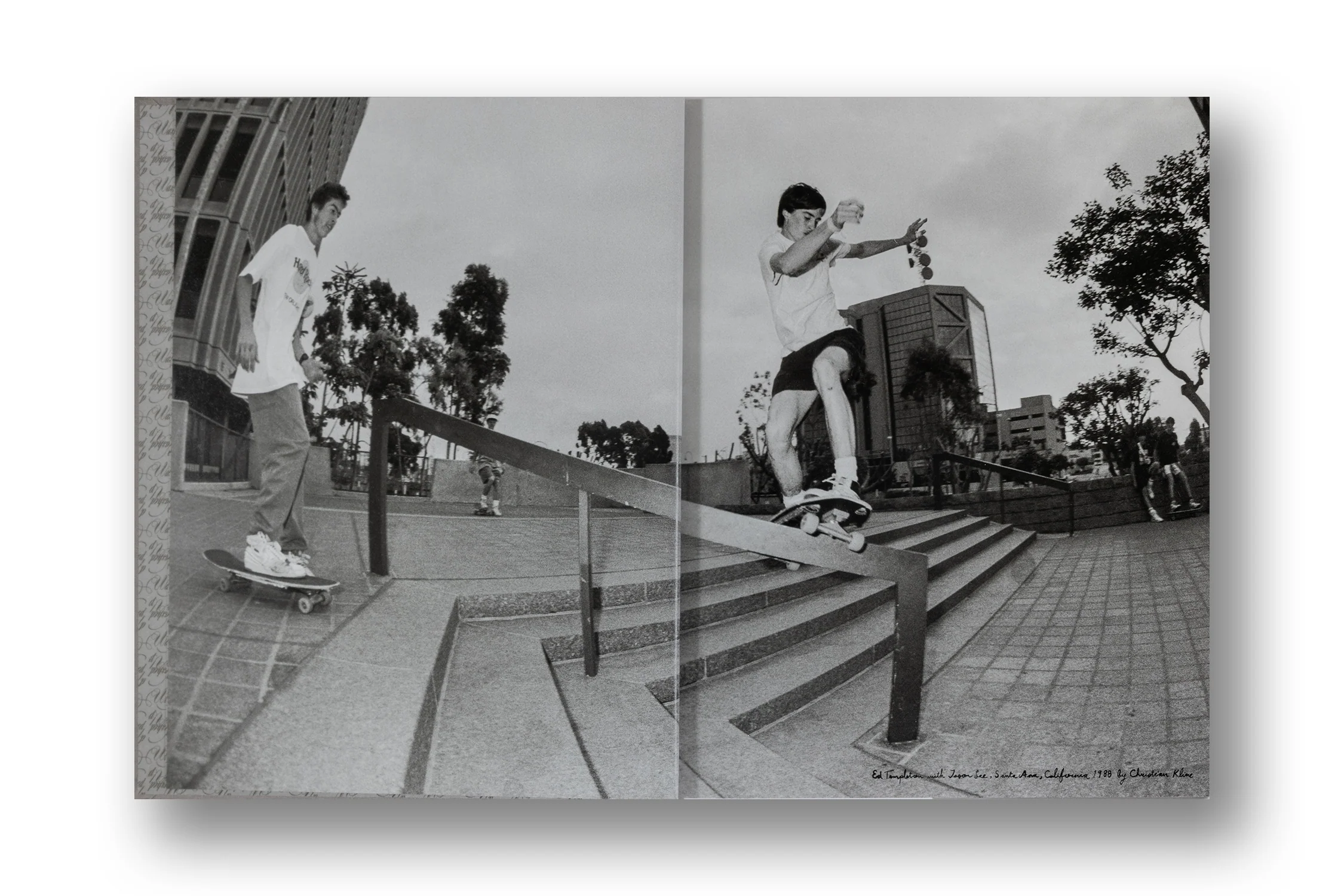 Ed Templeton, Wires Crossed - Image 4
