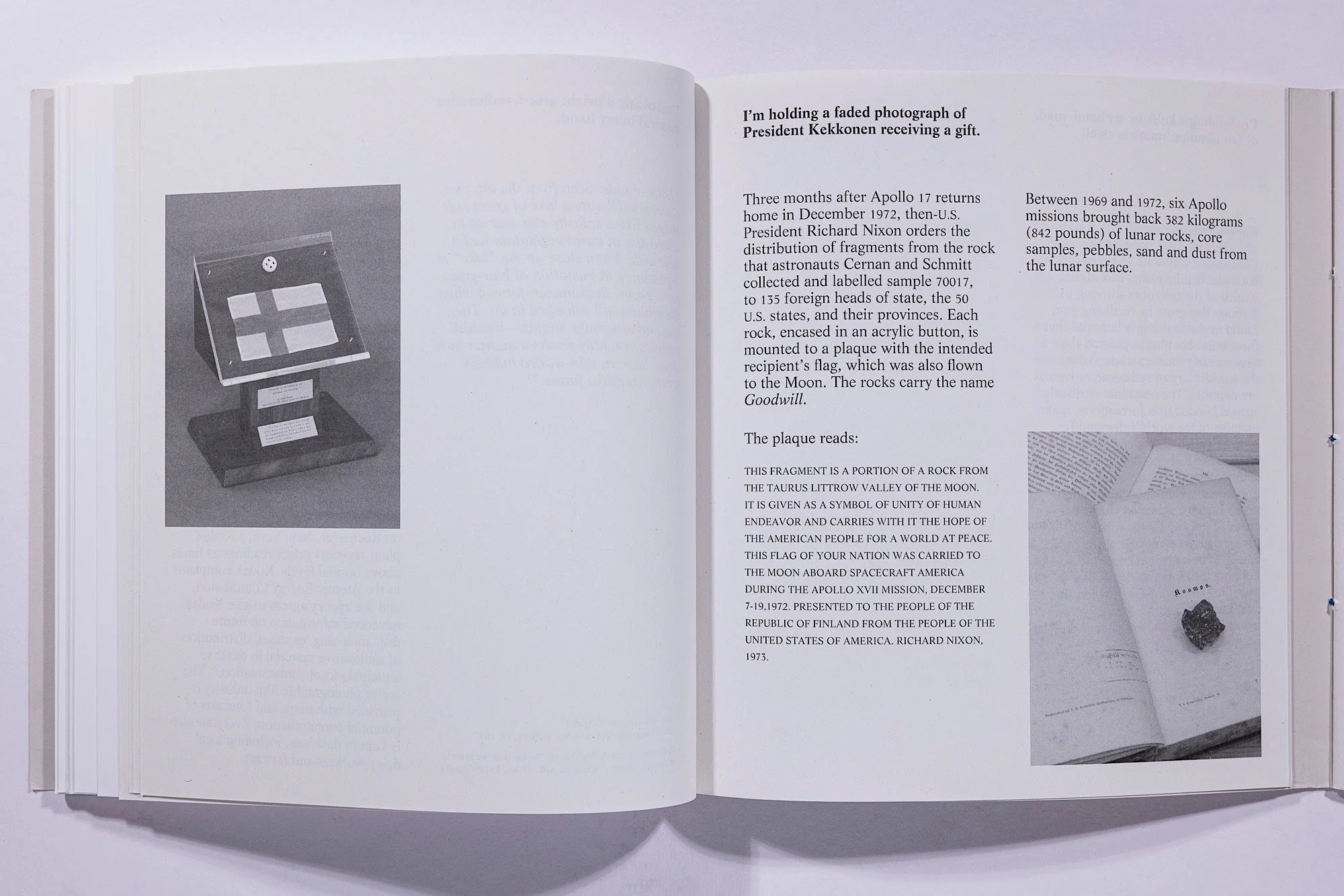 Felicia Honkasalo - Grey Cobalt - Image 19