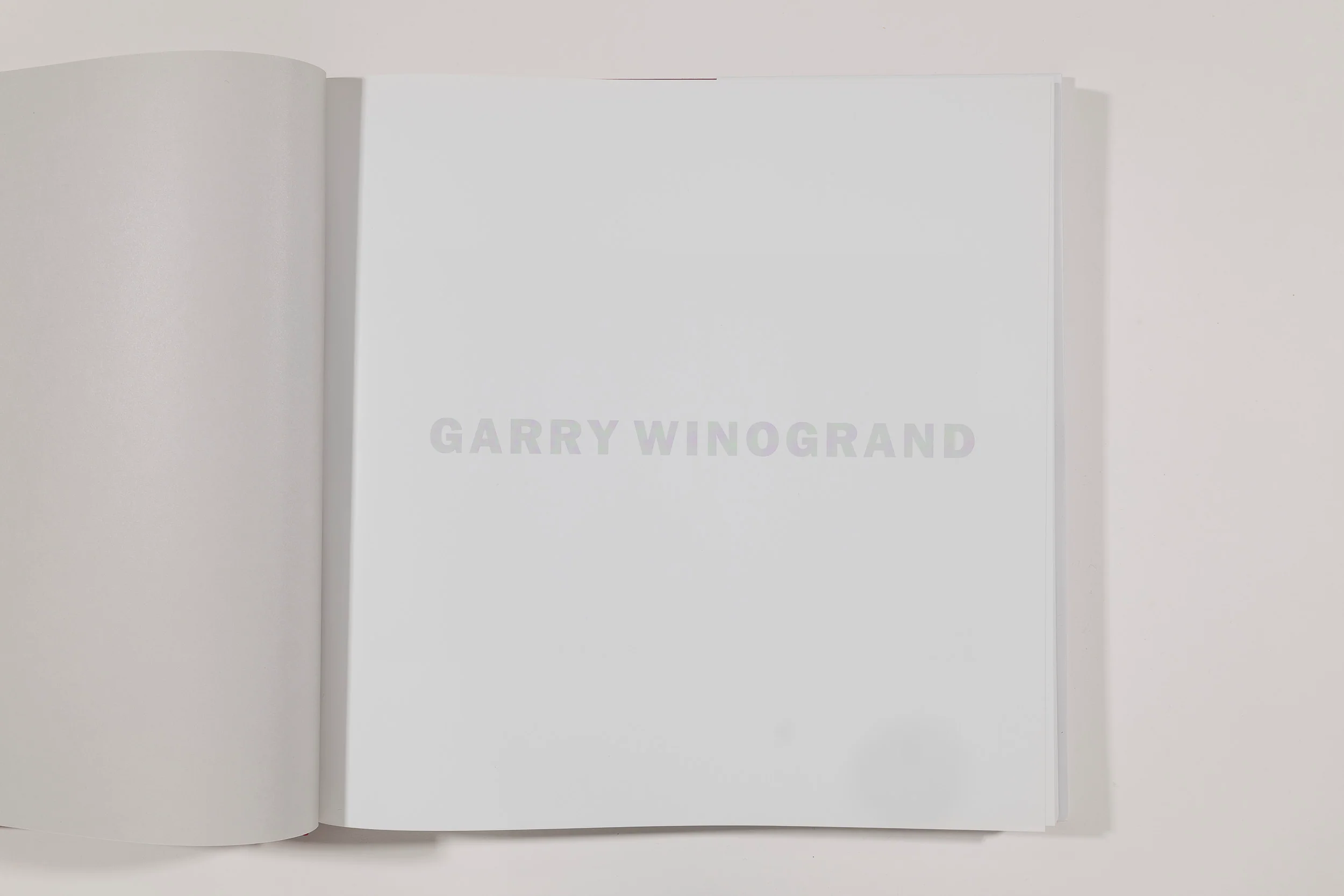 Garry Winogrand Color - Image 2