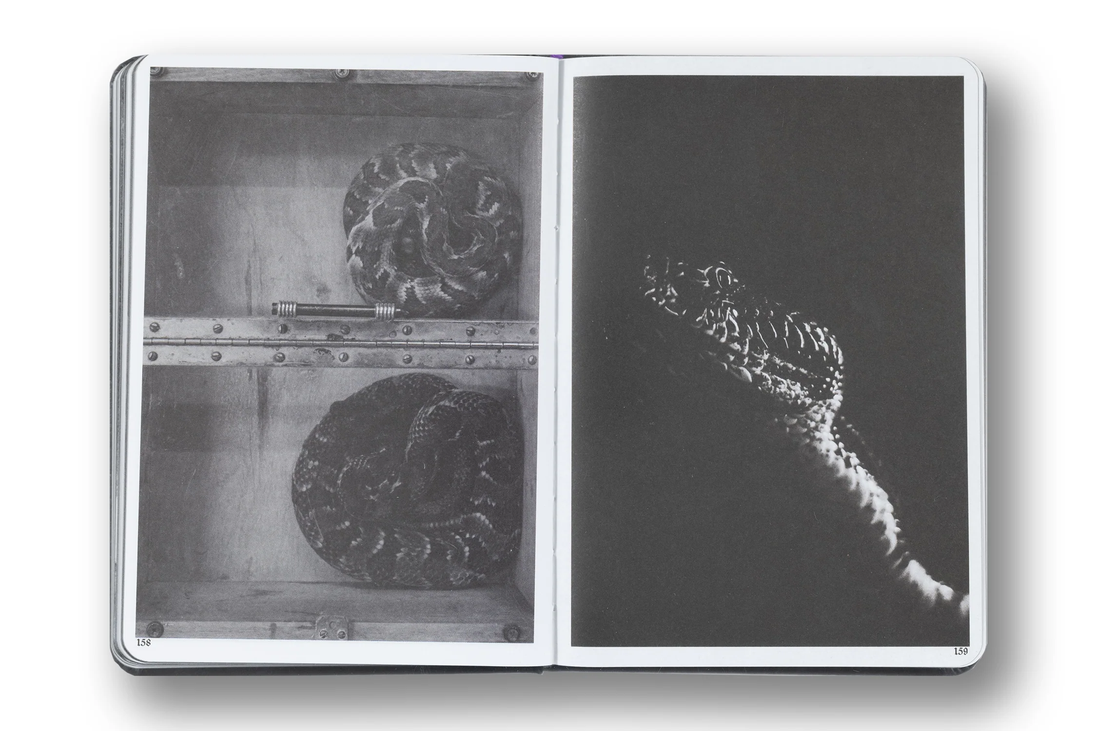 Gloryland, Robert Le Blanc (Signed, 1st ed) - Image 11