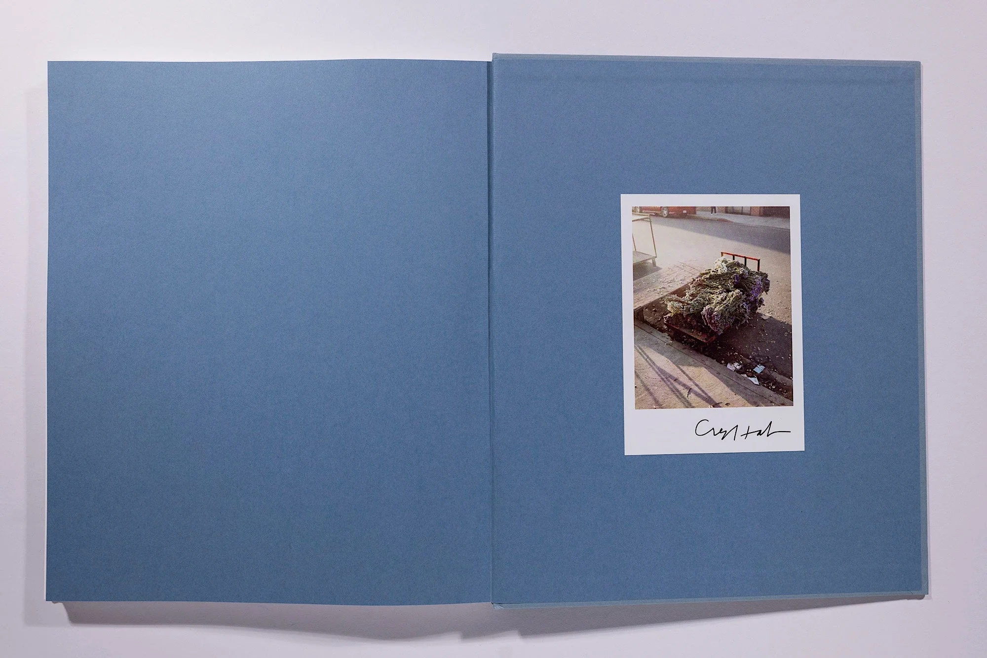 Gregory Halpern - Zzyzx - Image 3