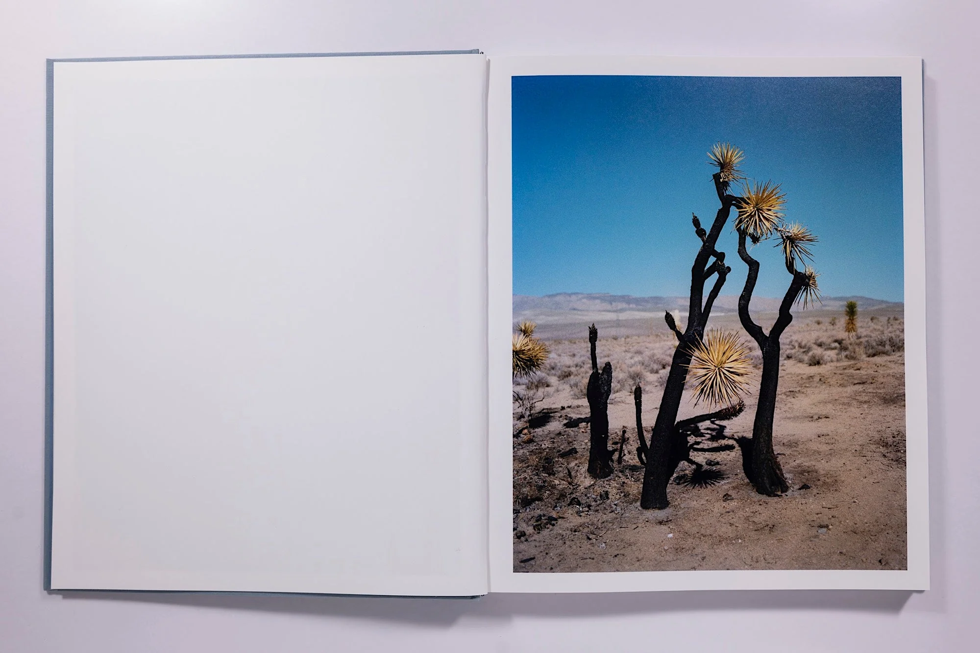 Gregory Halpern - Zzyzx - Image 5