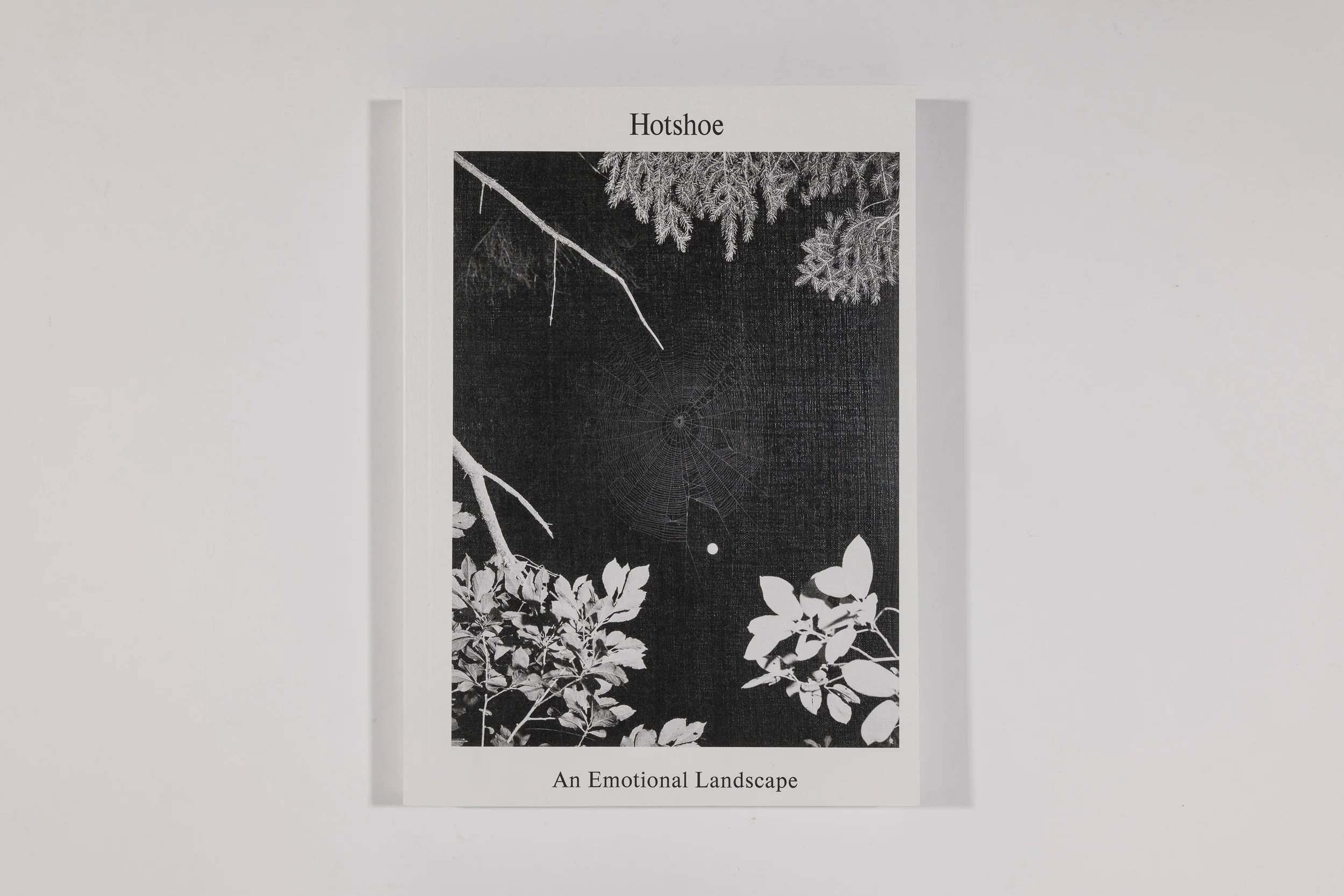 Hotshoe Magazine - An Emotional Landscape