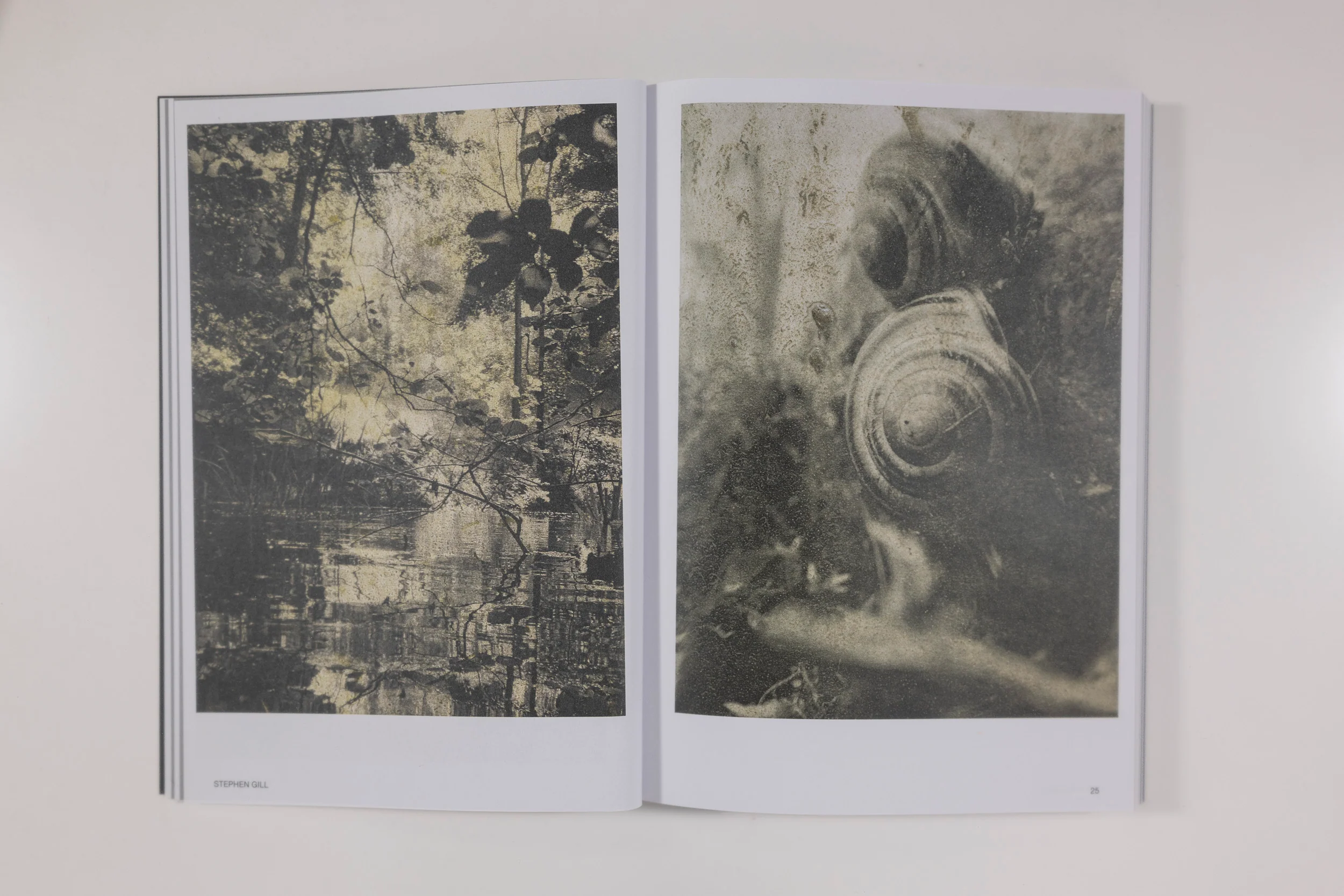 Hotshoe Magazine - An Emotional Landscape - Image 2
