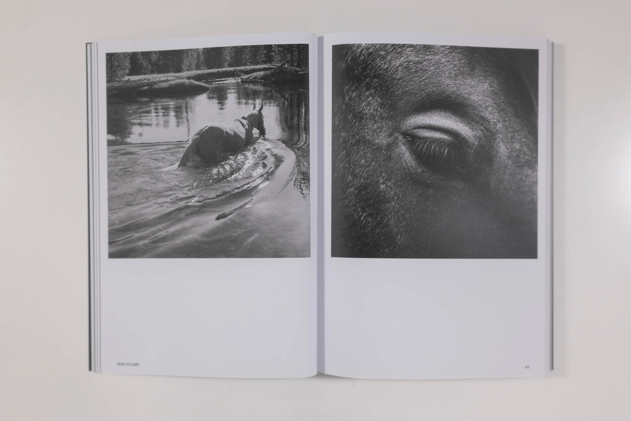 Hotshoe Magazine - An Emotional Landscape - Image 3