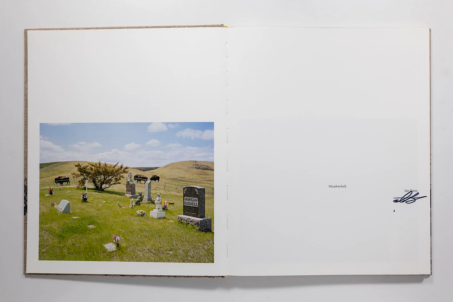 Ian Bates, Meadowlark - Image 3