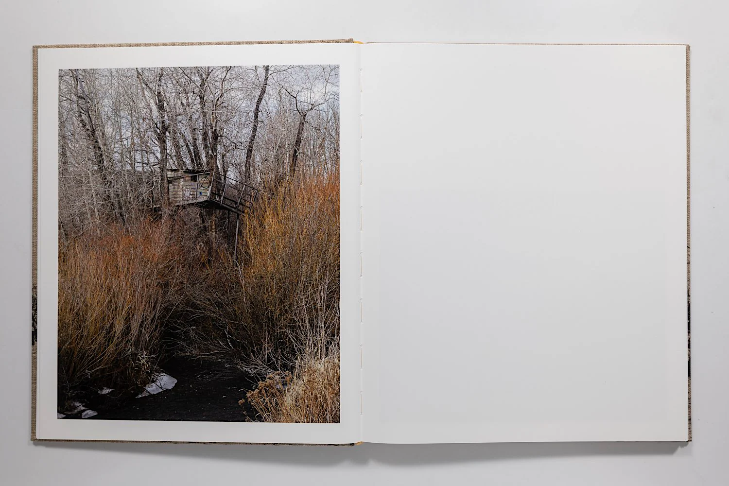 Ian Bates, Meadowlark - Image 5