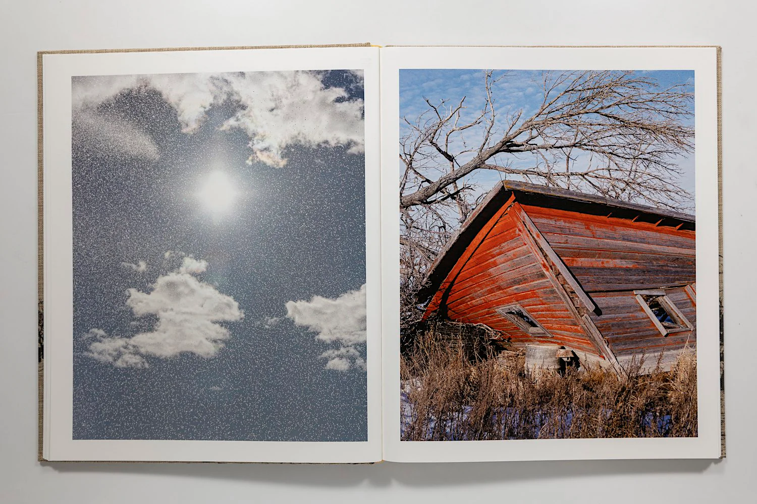 Ian Bates, Meadowlark - Image 6