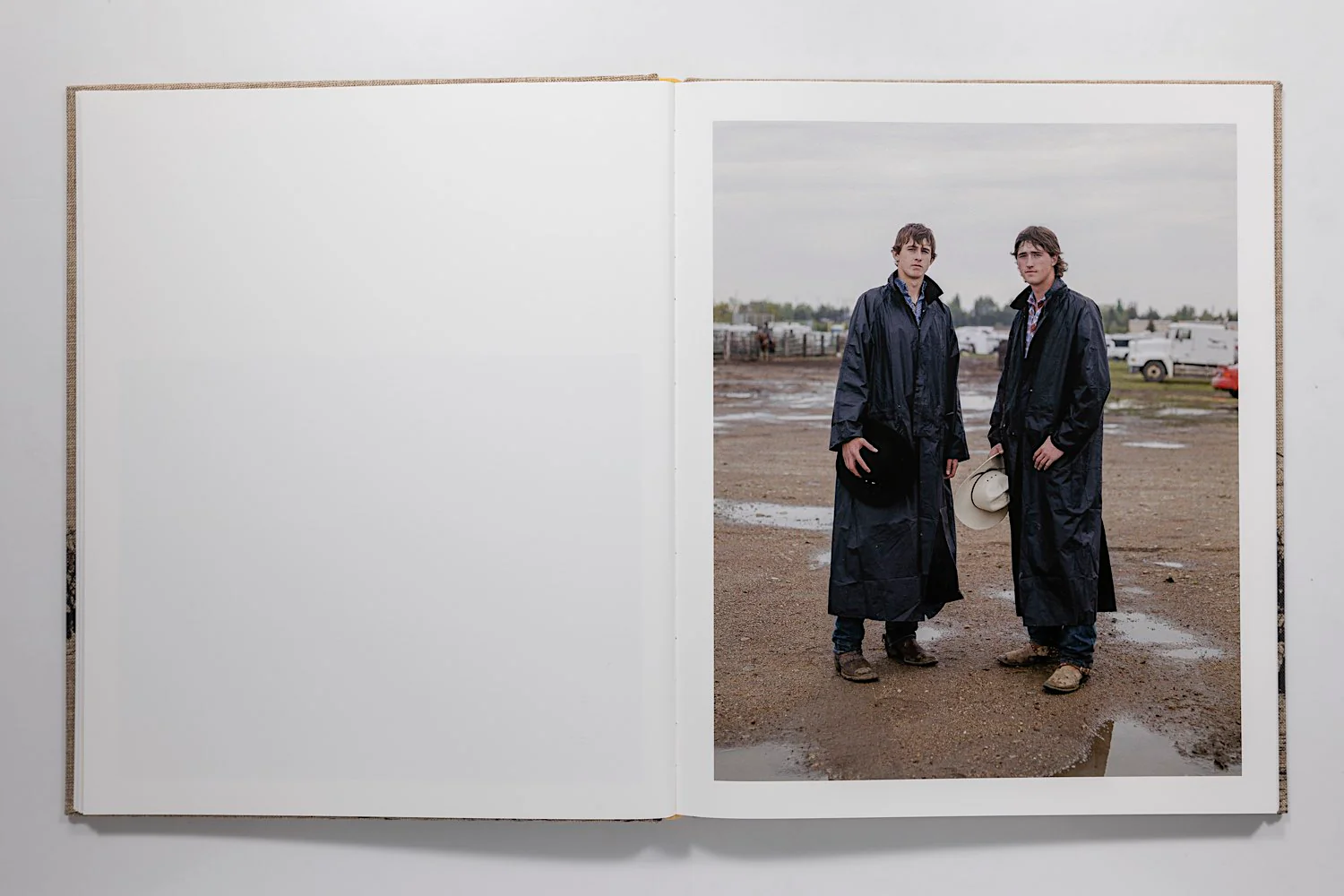 Ian Bates, Meadowlark - Image 7