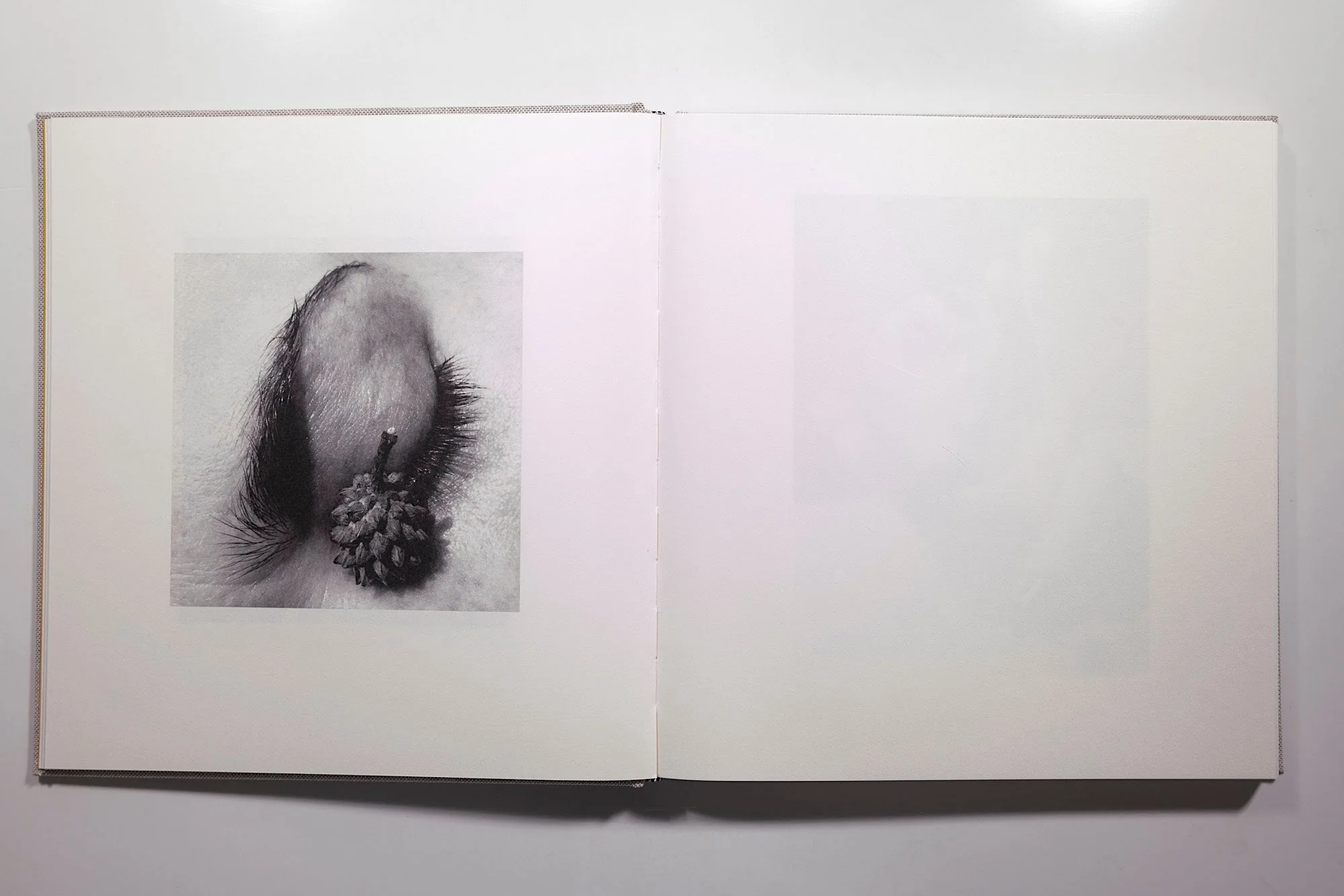 Jack Davison - Photographs - Image 4