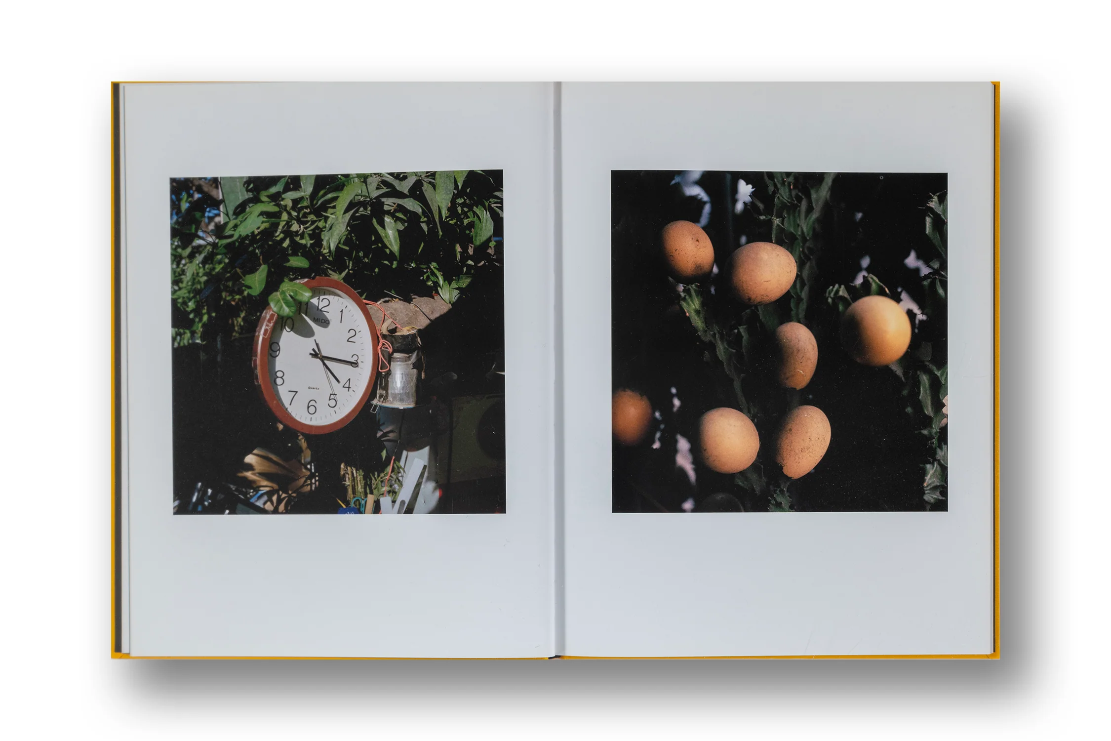 Jason Fulford - Picture Summer on Kodak Film - Image 4