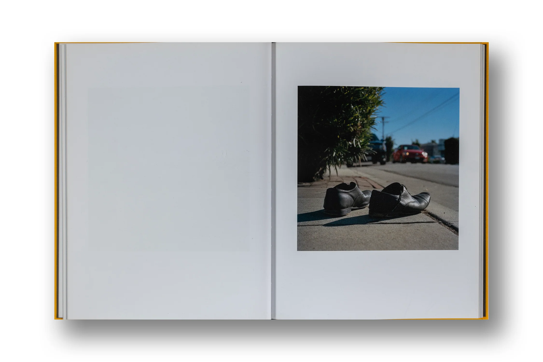 Jason Fulford - Picture Summer on Kodak Film - Image 6