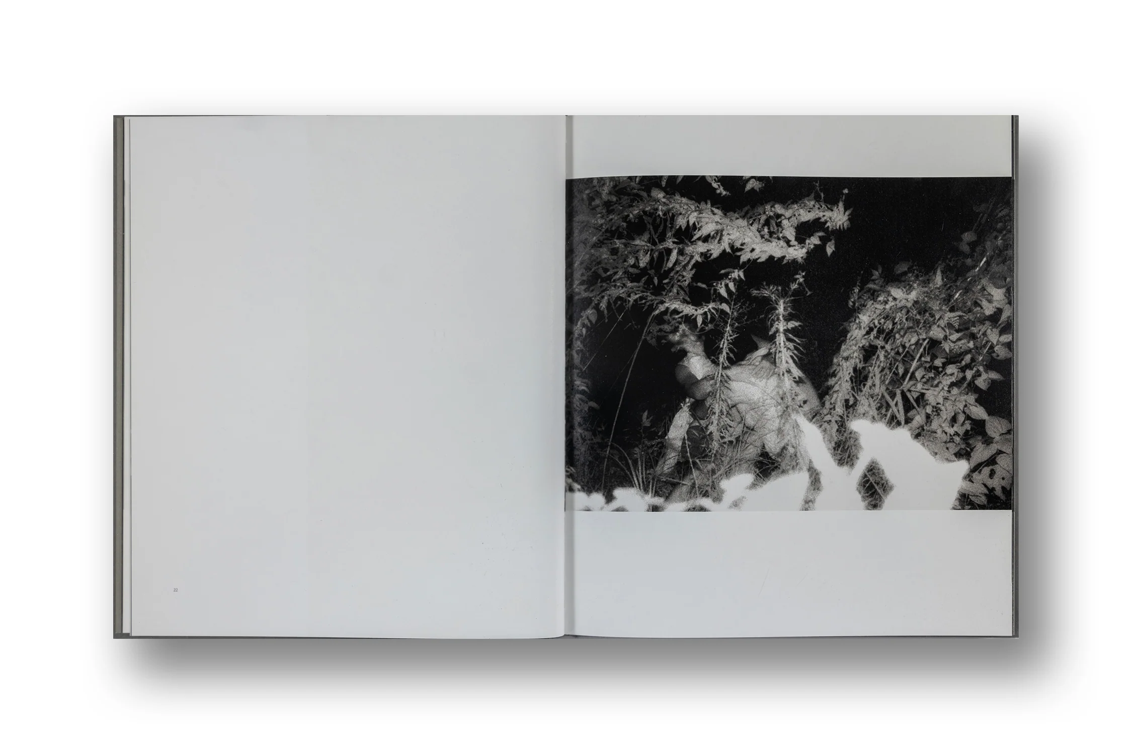 Kohei Yoshiyuku, The Park, Limited Edition - Image 5