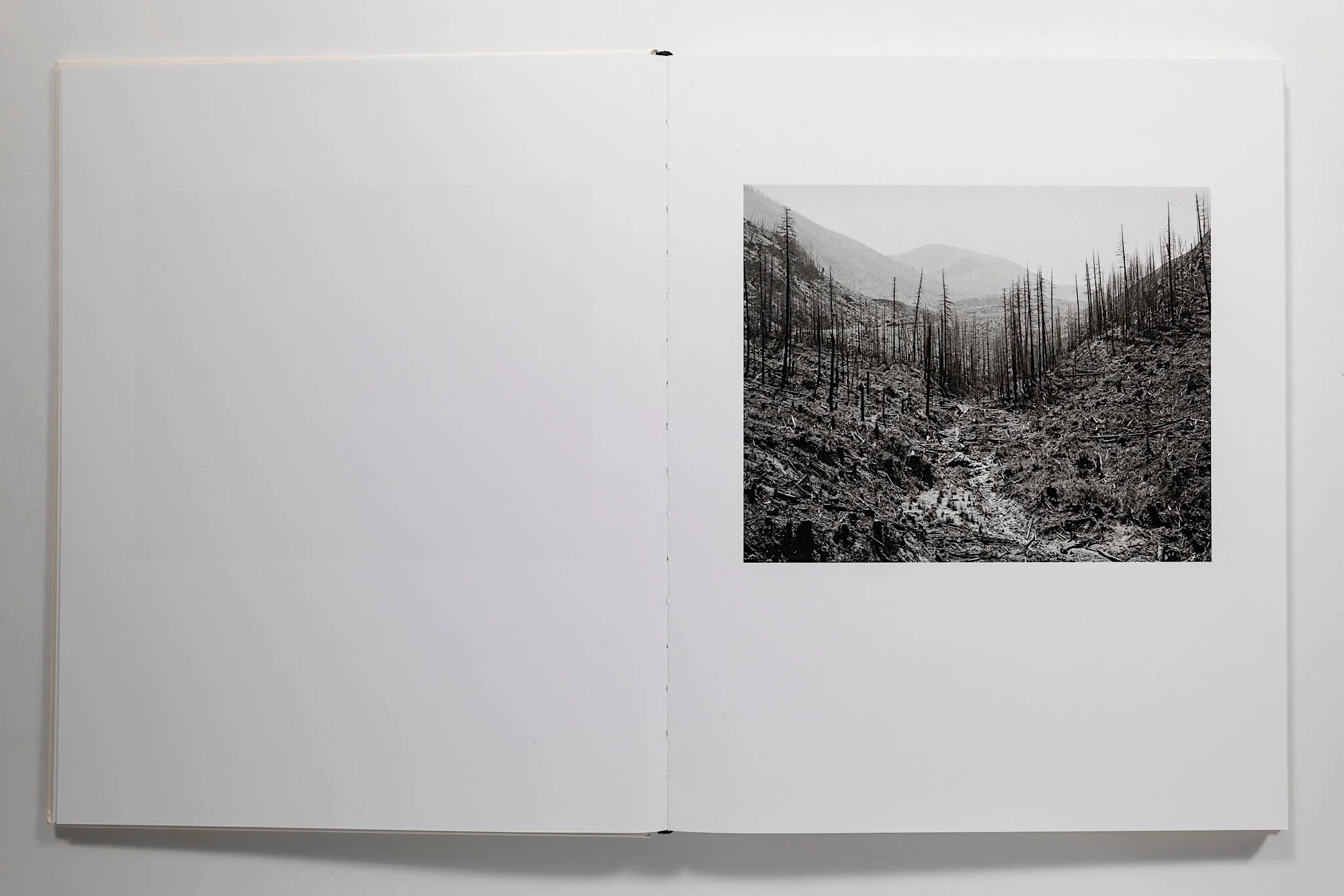 Landfall Mimi Plumb - Image 3