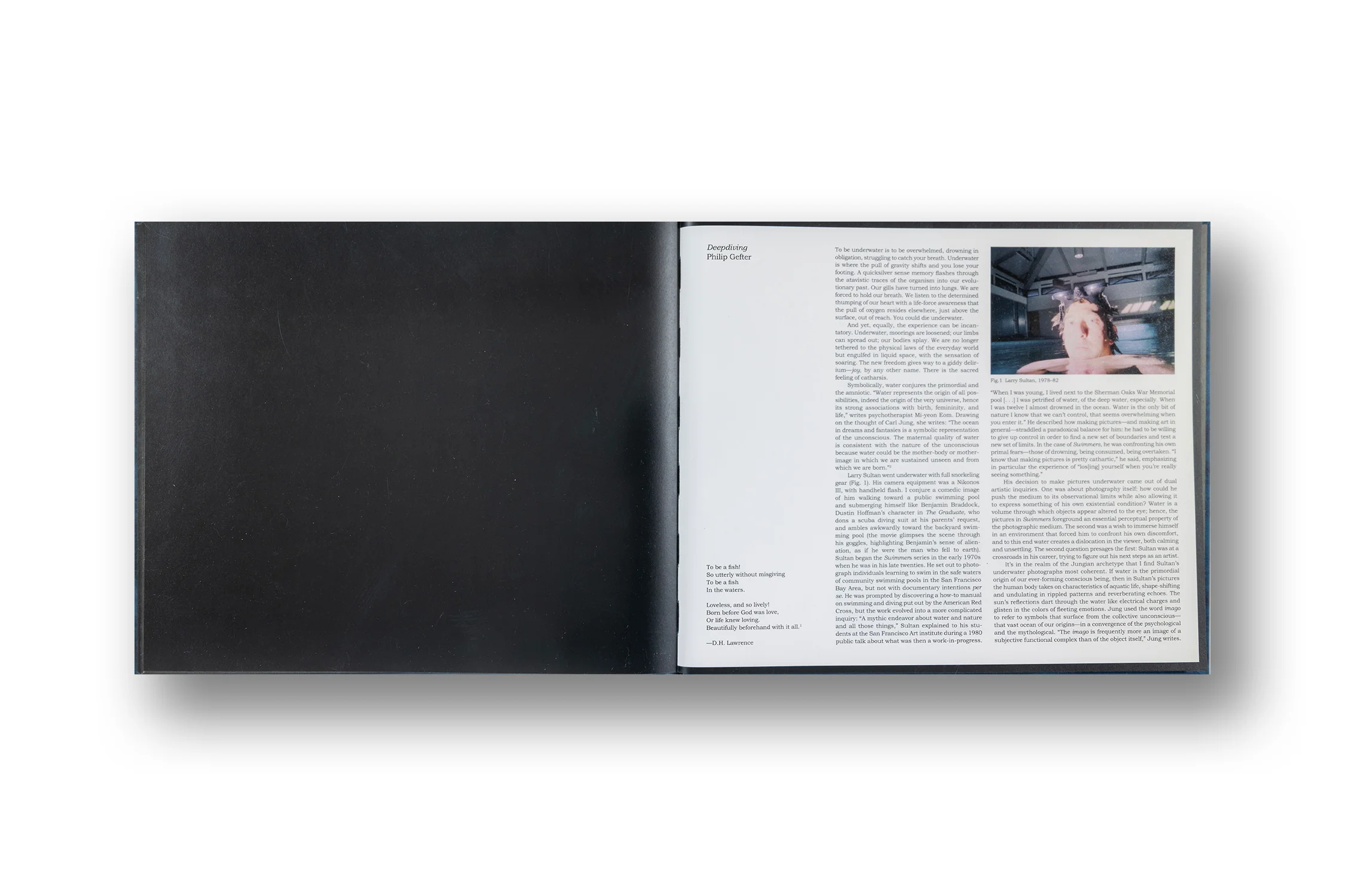 Larry Sultan, Swimmers - Image 16