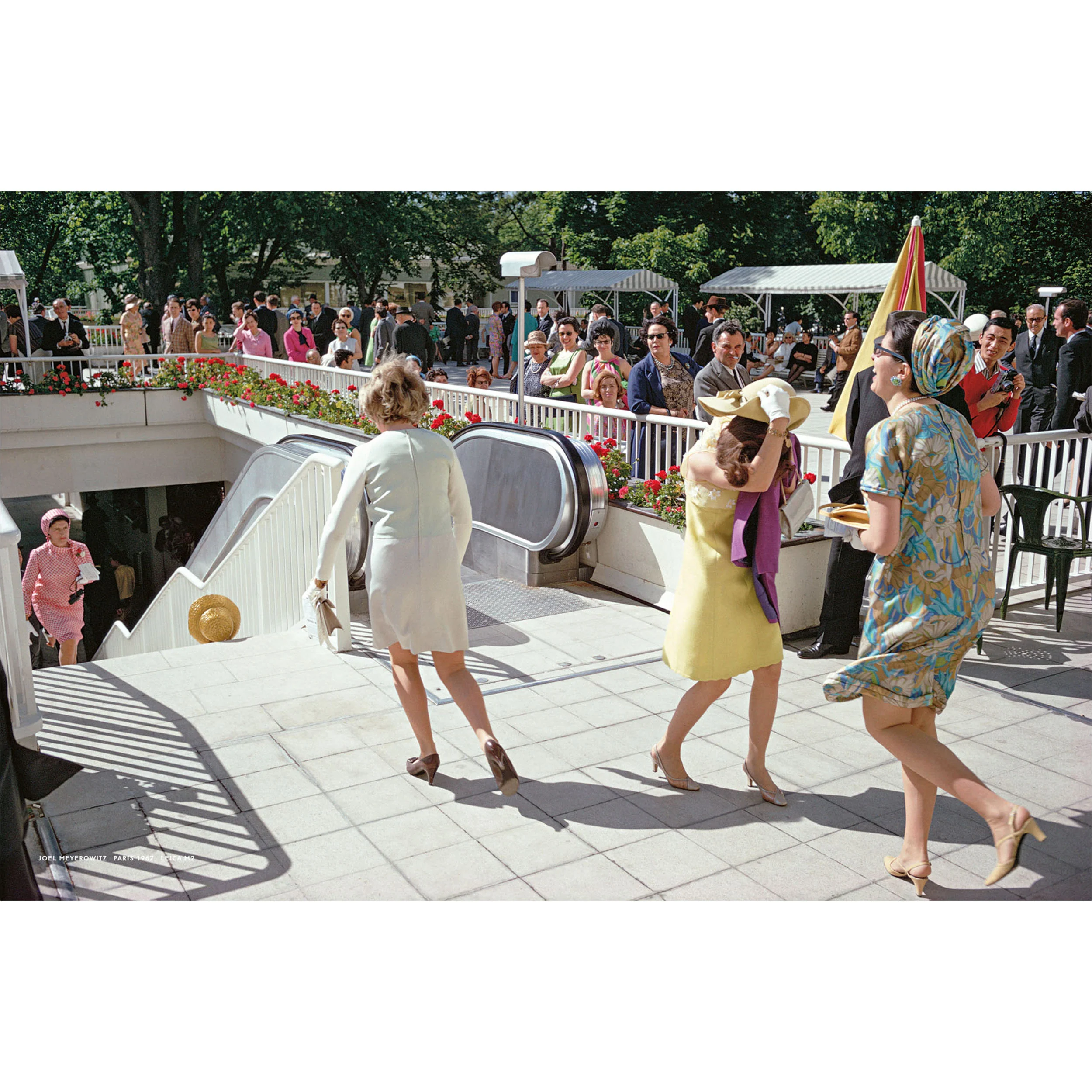 Leica 70 Years Leica M Book - English Edition - Image 3