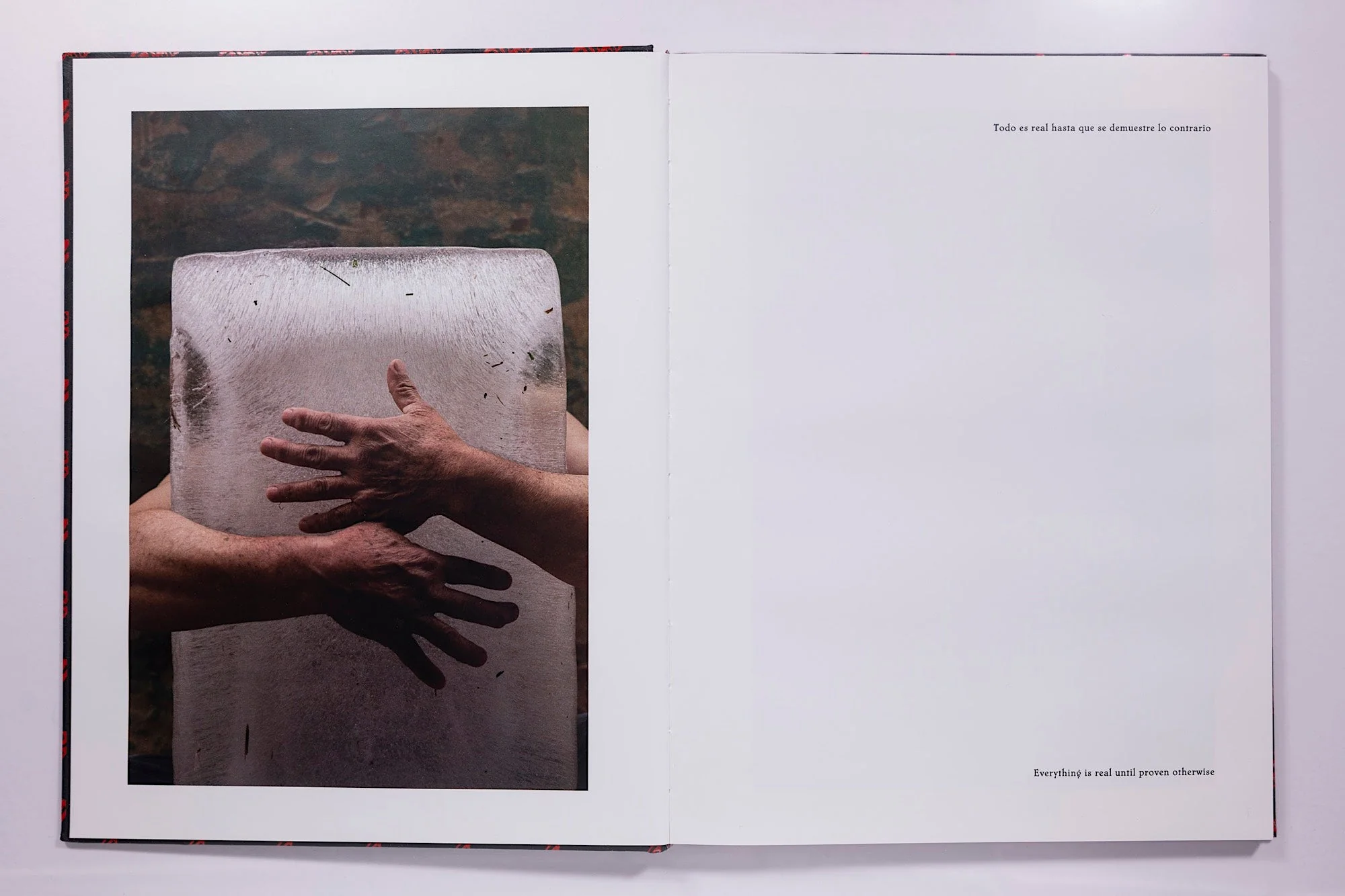 Luis Cobelo, Zurumbatico, 2nd Edition - Image 4